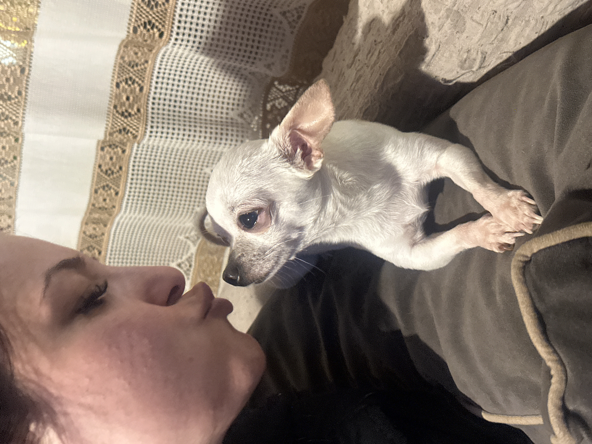 A white Chihuahua dog is positioned on a gray cushion or pillow, lying down with its head near a woman's face. The woman is in the foreground with her face visible in profile, appearing to be looking towards the dog. Her eyes are closed as if she is possibly kissing or about to kiss the dog. Behind them and to the left is a fabric with a patterned design.
The location is not discernible from the image, therefore its location in the city of Chubra, Bulgaria, cannot be verified.
