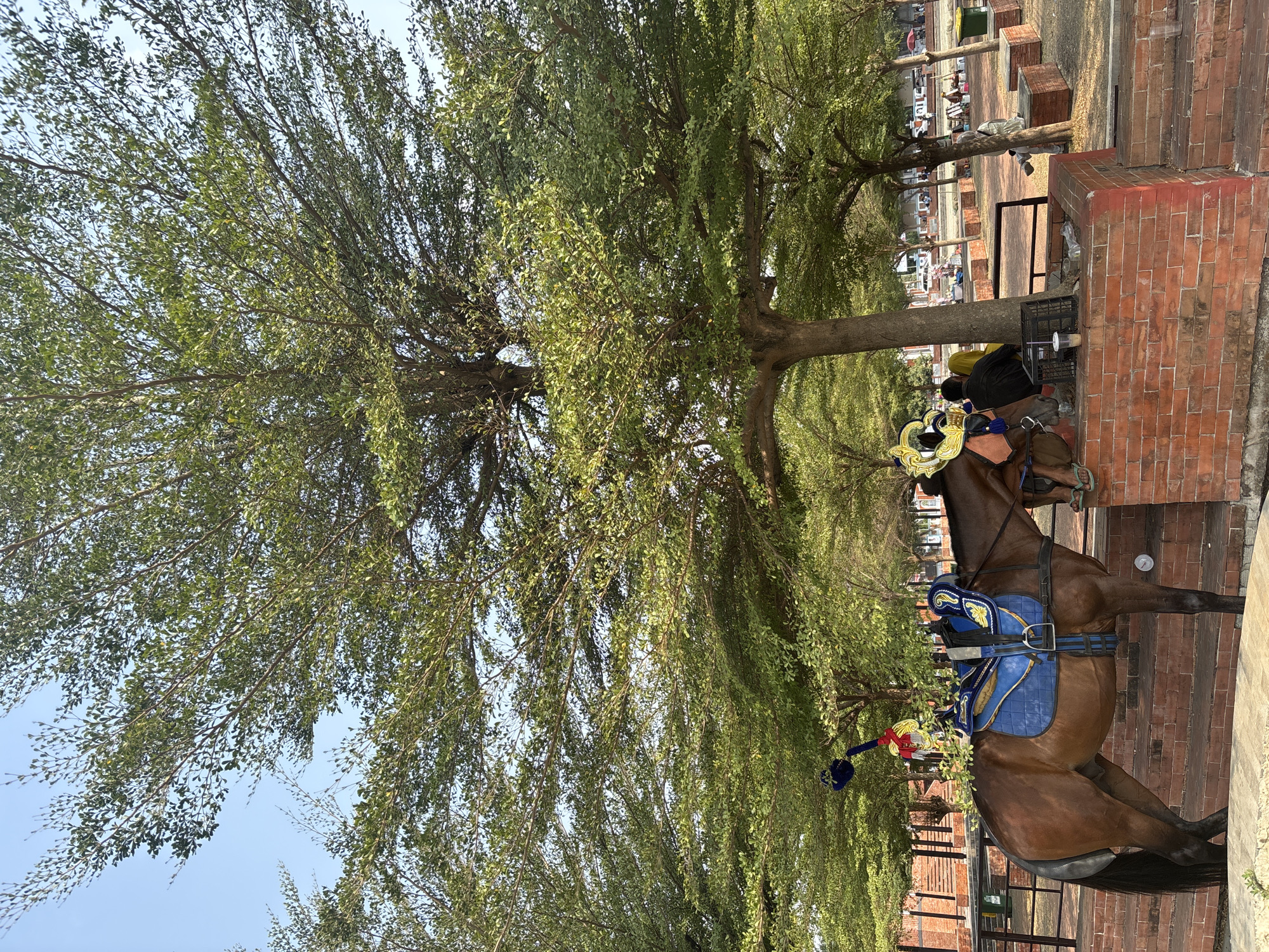 The image captures a brown horse equipped with a decorative blue and gold saddle, standing near a brick structure under the canopy of a lush green tree. The horse is adorned with a colorful plume on its head. In the background, several people are visible, some seated and others standing, in an open, outdoor area that appears to be a park or recreational space. The environment is characterized by trees, brickwork, and a general sense of daytime activity. Based on visual cues, this scene is likely located in Majalengka, Indonesia, potentially at a tourist spot or a public gathering area where such horse attractions might be offered.
