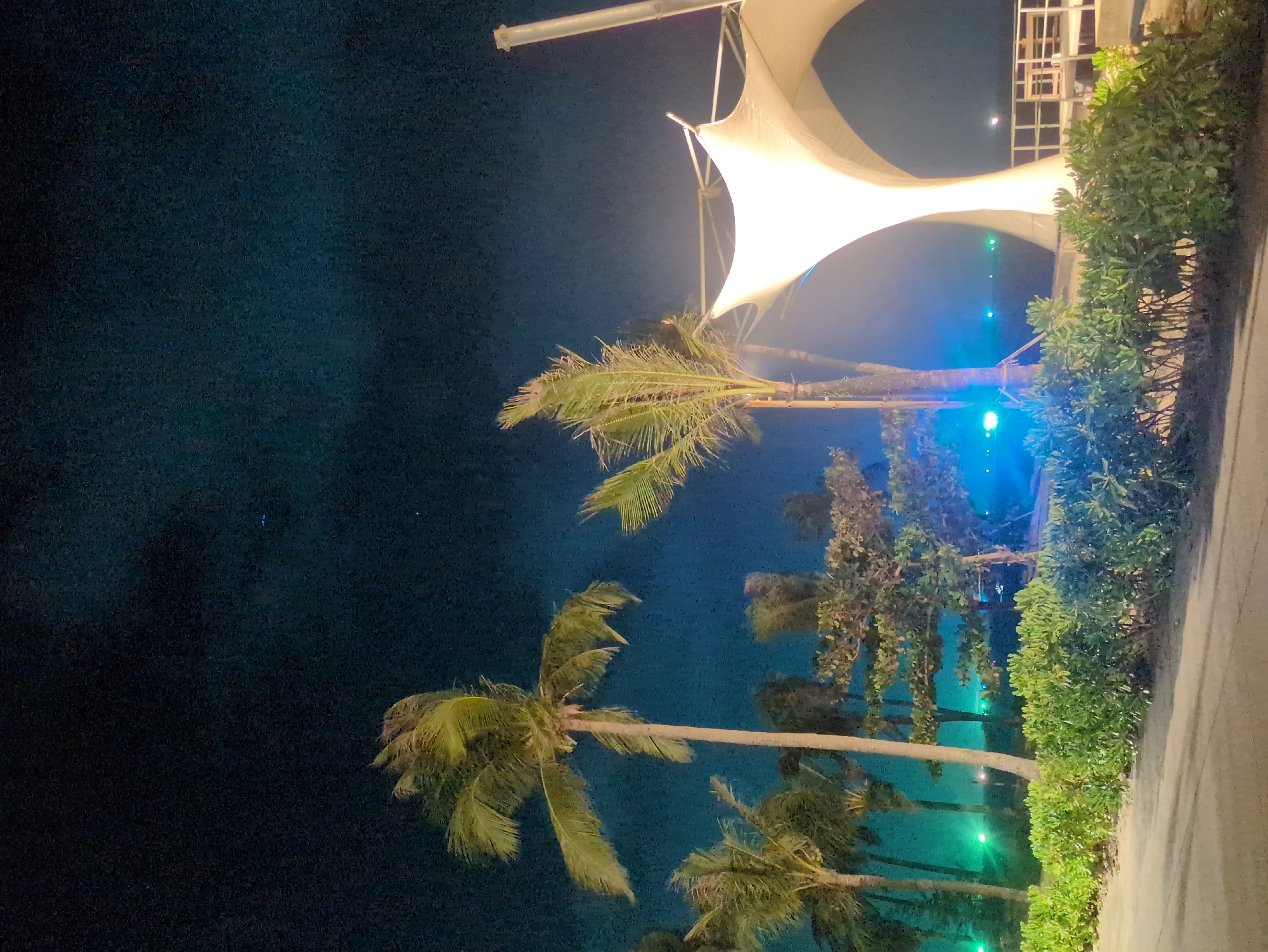 The image captures an outdoor scene at night in Phú Quốc, Vietnam. Tall palm trees are prominent, silhouetted against a dark sky, with leaves appearing to sway gently. A large, white canopy-like structure is visible above the trees, illuminated by internal lighting. Bright blue and green lights are scattered throughout the scene, giving the setting an ambient glow. Green shrubbery lines the edge of what appears to be a pathway or street. A building structure with grid-like elements is partially visible behind the canopy. The overall environment suggests a coastal, tropical setting, possibly a resort or public space designed for nighttime ambiance. There are no people visible in the frame.
