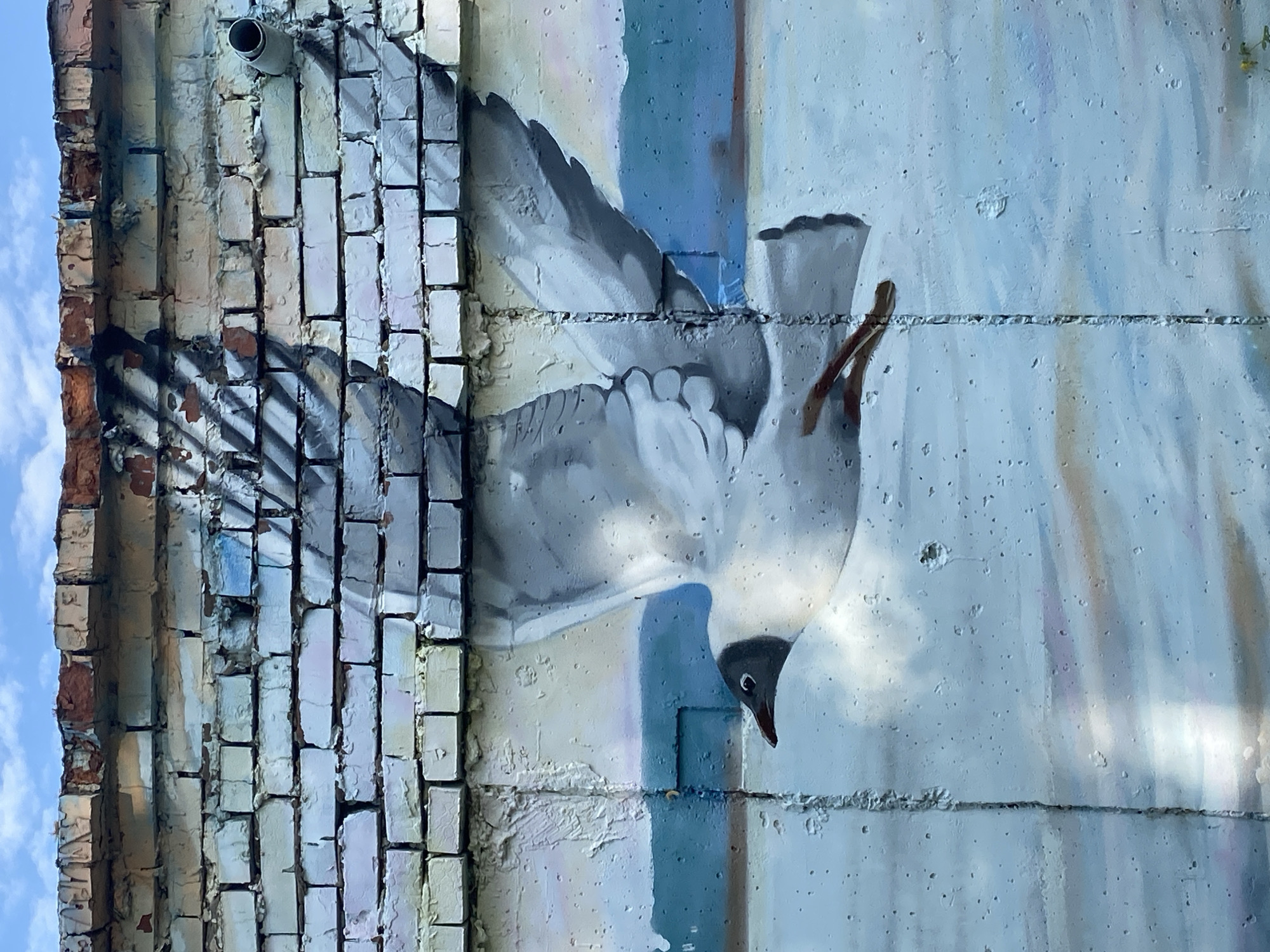 A vertically oriented image depicts a mural on a building exterior in the city of Chaikovsky, Russia. The mural is dominated by a large seagull depicted in flight, painted with light and muted colors. The seagull's head is pointing downwards. The mural is painted on a wall composed of weathered and textured concrete. Adjacent to the painted portion of the wall is a brick column with a pipe protruding from the top. A portion of the blue sky is visible in the upper left corner.