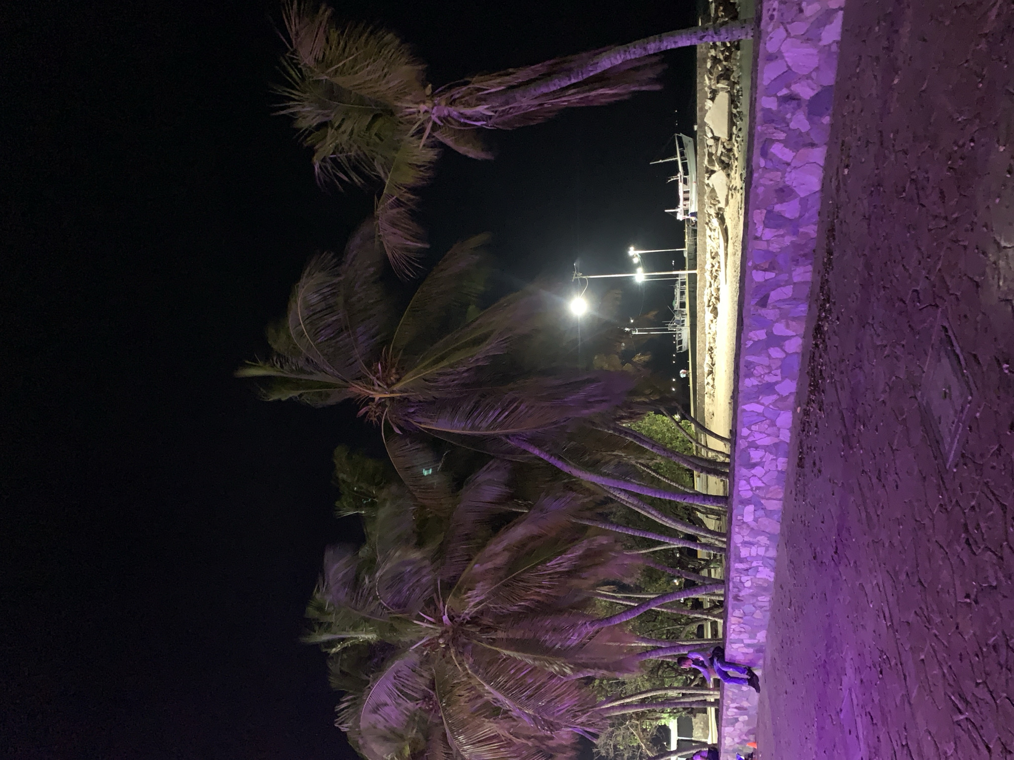 This photograph, taken at night, shows palm trees illuminated by streetlights in Juan Griego, Venezuela. The palm trees, with their fronds swaying in what appears to be a light breeze, are the dominant feature. The trunks of the palm trees are partially visible, extending upwards towards the dark night sky. Streetlights are seen in the background. A wall appears to be at the side. A possible figure is visible.