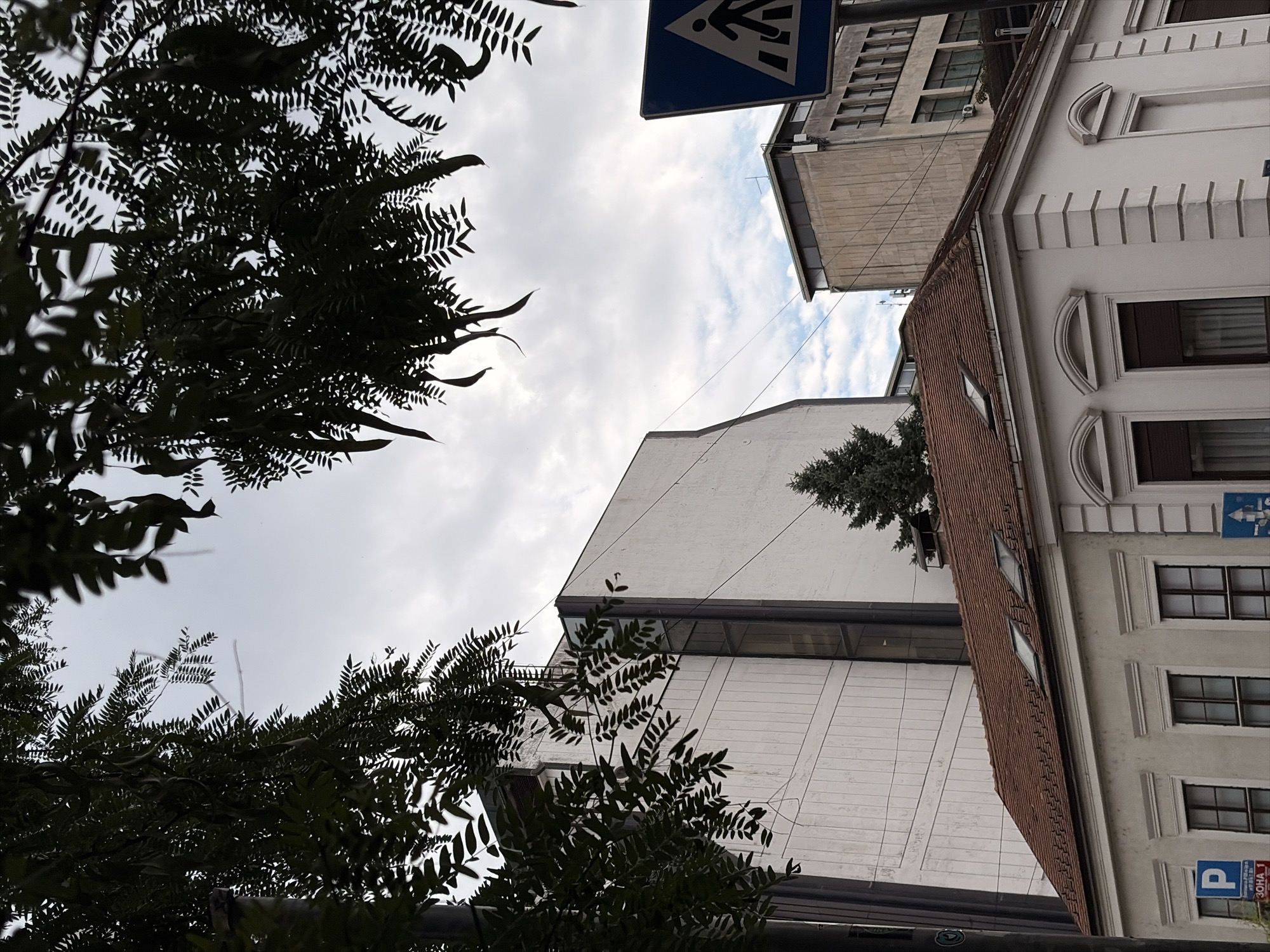 The image depicts an urban scene in Belgrade, Serbia, focusing on the architecture and street elements. In the foreground, a white building with a red-tiled roof and dormer windows is visible. The building has arched window frames and decorative molding. To the left of this building, a blue parking sign with a white "P" is mounted on a pole.
Behind the foreground building, a tall, modern white building with a dark vertical strip runs up its facade. Further back, another concrete building with multiple windows is seen. A pedestrian crossing sign, a blue square with a white pedestrian icon, is positioned on the right side of the image. The sky is overcast with clouds. Trees with dark green leaves and long seed pods hang from the top of the frame, partially obscuring the sky and the buildings. A small, dark green evergreen tree is visible between the modern white building and the concrete building. The overall impression is of an overcast day in a built-up urban environment.
