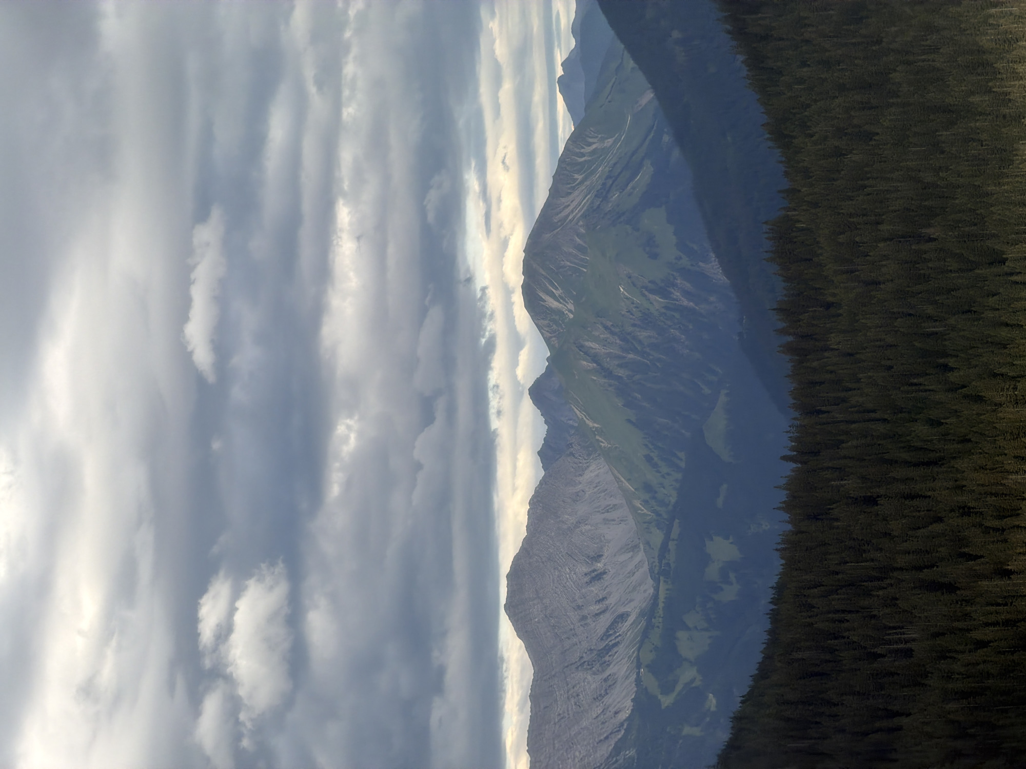 A vertical, medium-shot, natural light photograph captures a panoramic view of a vast mountain range under a cloudy sky. The foreground is dominated by a dense, dark green coniferous forest that stretches across the bottom of the frame. Behind the forest, the middle ground reveals rolling hills with patches of green grass and shadows, leading to the imposing gray, rocky peaks of the mountain range. The upper portion of the image showcases a dramatic sky filled with a mixture of light and dark gray clouds, with some areas of brighter sky peeking through. The lighting suggests it is either early morning or late afternoon. The image appears to be a scenic landscape with no people or man-made objects visible. This scene is reminiscent of the mountain landscapes found near Grainau, Germany, in the Bavarian Alps.