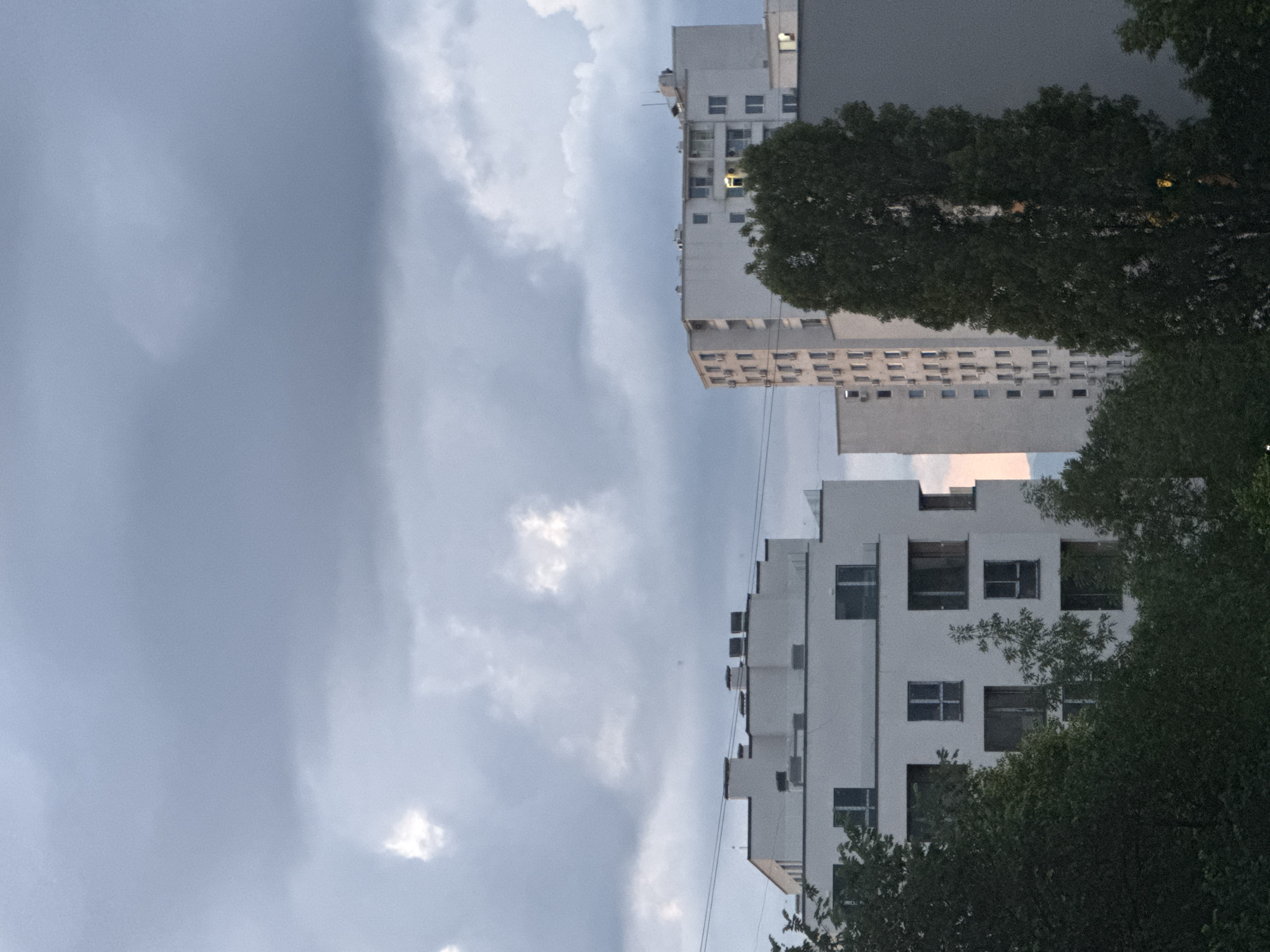 The image captures an urban scene in the city of Sofia, Bulgaria, under an overcast sky filled with dense, grey clouds and scattered brighter areas. The foreground is dominated by dark green foliage from several trees, partially obscuring the lower sections of the buildings.
On the left, a modern, multi-story white building features a tiered or stepped roofline with multiple chimneys or ventilation shafts, and various rectangular windows. An upper-level balcony or terrace is fitted with a glass railing. Two thin, dark wires extend horizontally across the mid-ground, positioned above this building.
To the right, a taller, multi-story white residential building stands, characterized by numerous regularly spaced rectangular windows, some with enclosed balconies, and multiple visible external air conditioning units. A single window on an upper floor of this building emits a clear yellow-orange artificial light. A tall, slender tree with dark green foliage partially obscures the central-right portion of this building. Further to the right and partially obscured, a plainer, grey building is visible, with a subtle pinkish-orange glow on the horizon behind it, suggesting either sunrise or sunset. No individuals are visible in the scene.