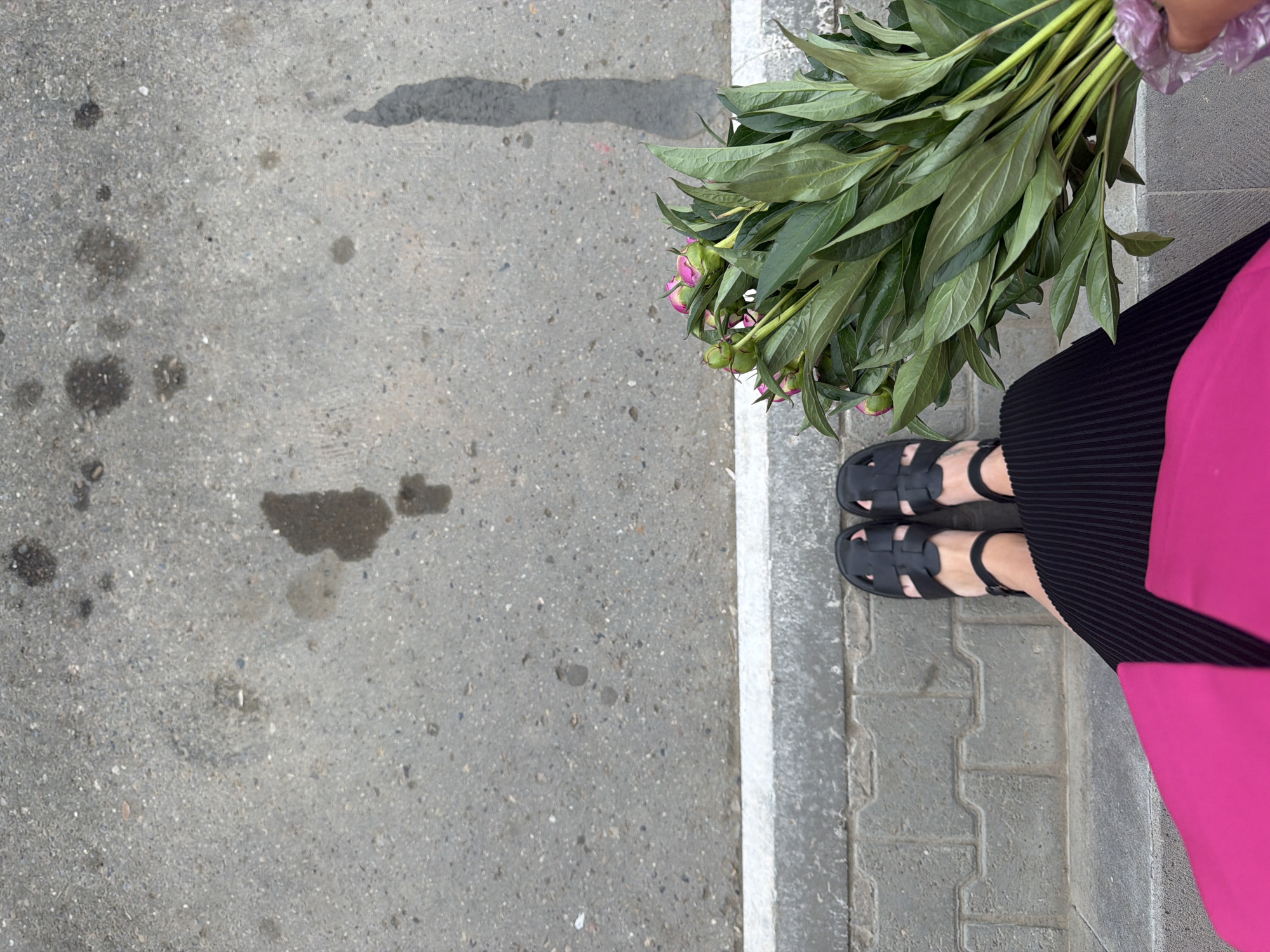 A top-down shot captures a person standing on a sidewalk next to a paved area, possibly a street, on a cloudy day in Chaikovsky, Russia. The person is wearing black sandals, a black pleated garment, and a bright pink overlay. They are holding a bouquet of flowers with large green leaves and pink buds. The paved area has dark spots, possibly stains, and a light-colored line delineates the sidewalk from the street. The sidewalk consists of square gray tiles. The photograph gives a street-level perspective.