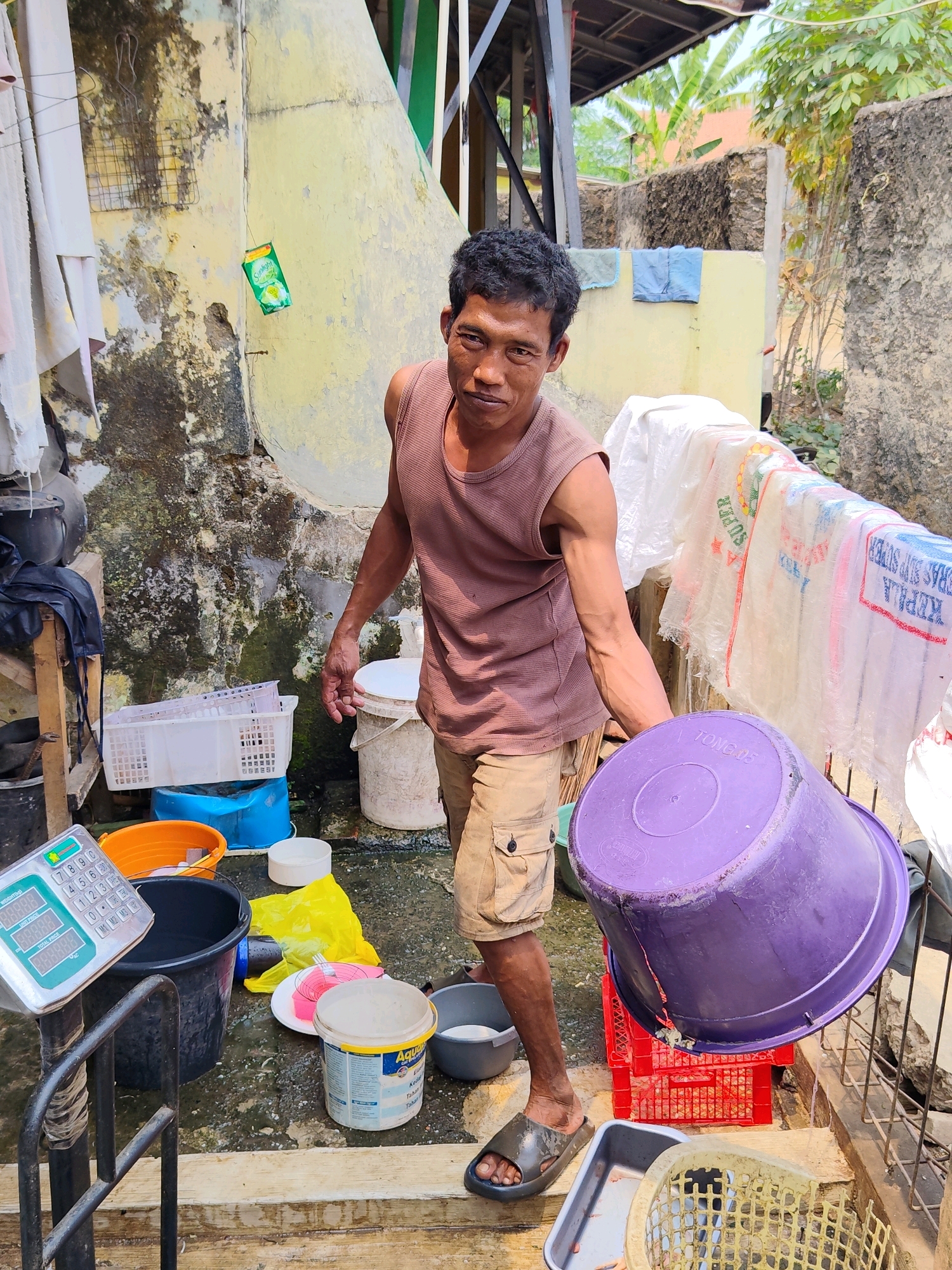 A man, likely in his 30s, with dark curly hair and a light brown complexion, stands in an outdoor area that appears to be a processing or storage location, possibly in Purwakarta, Indonesia. He is wearing a sleeveless brown t-shirt and beige cargo shorts, with dark sandals on his feet. The man is holding a large, purple plastic tub in his right arm, tilting it as if to empty its contents. His left arm is extended slightly outwards, and his facial expression suggests a moment of exertion or focus.
The environment is weathered and utilitarian. The background features a textured, yellow-painted wall with signs of wear and tear, including patches of green and black staining. Various plastic containers and baskets are scattered around the ground, including a white mesh basket, a black bucket, an orange basin, and a large white bucket with a yellow lid labeled "Aquil". A digital scale is positioned to the left of the man, with its screen displaying numerical values. Several white and translucent plastic sacks, some with red lettering, are hanging on a clothesline or railing to the right, partially obscuring the background. A red plastic crate is placed beneath the purple tub. The ground is a mixture of concrete and dirt, with visible debris. The overall impression is a working environment, possibly related to fish processing or a similar trade, given the presence of scales and various containers. The lighting suggests it is daytime, with sunlight filtering into the scene.