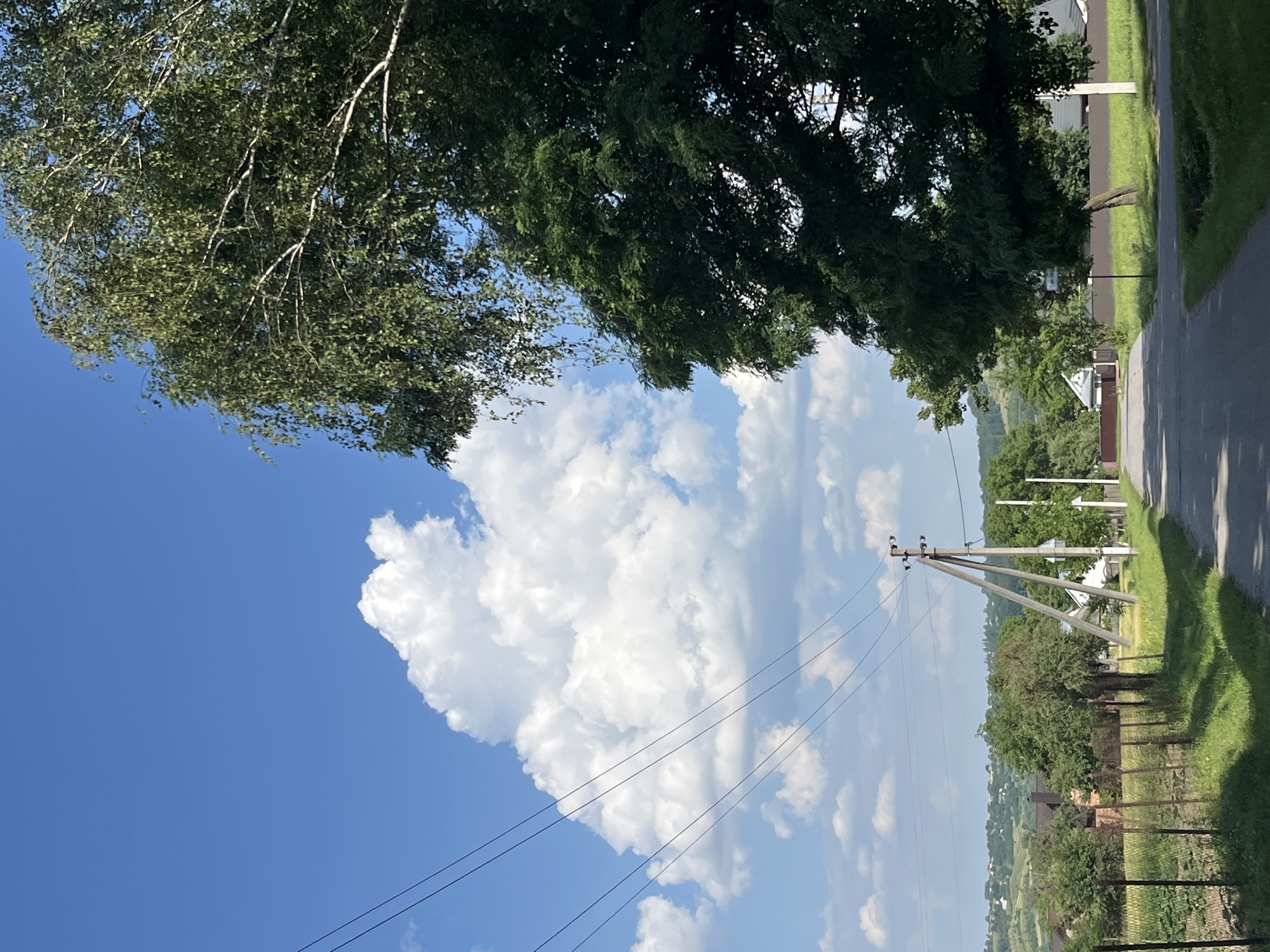 The image depicts a rural scene in the city of Koroviia, Ukraine, on a sunny day with a bright blue sky and scattered white clouds. A paved road stretches into the distance, lined on the left by a wire fence and a field with green vegetation. To the right of the road, a large tree with dark green foliage dominates the foreground, partially obscuring a second, lighter-colored tree. Power lines traverse the sky, supported by utility poles along the roadside. In the middle ground, houses and more trees are visible, with rolling hills in the background. The overall impression is one of a peaceful, sunlit countryside.
