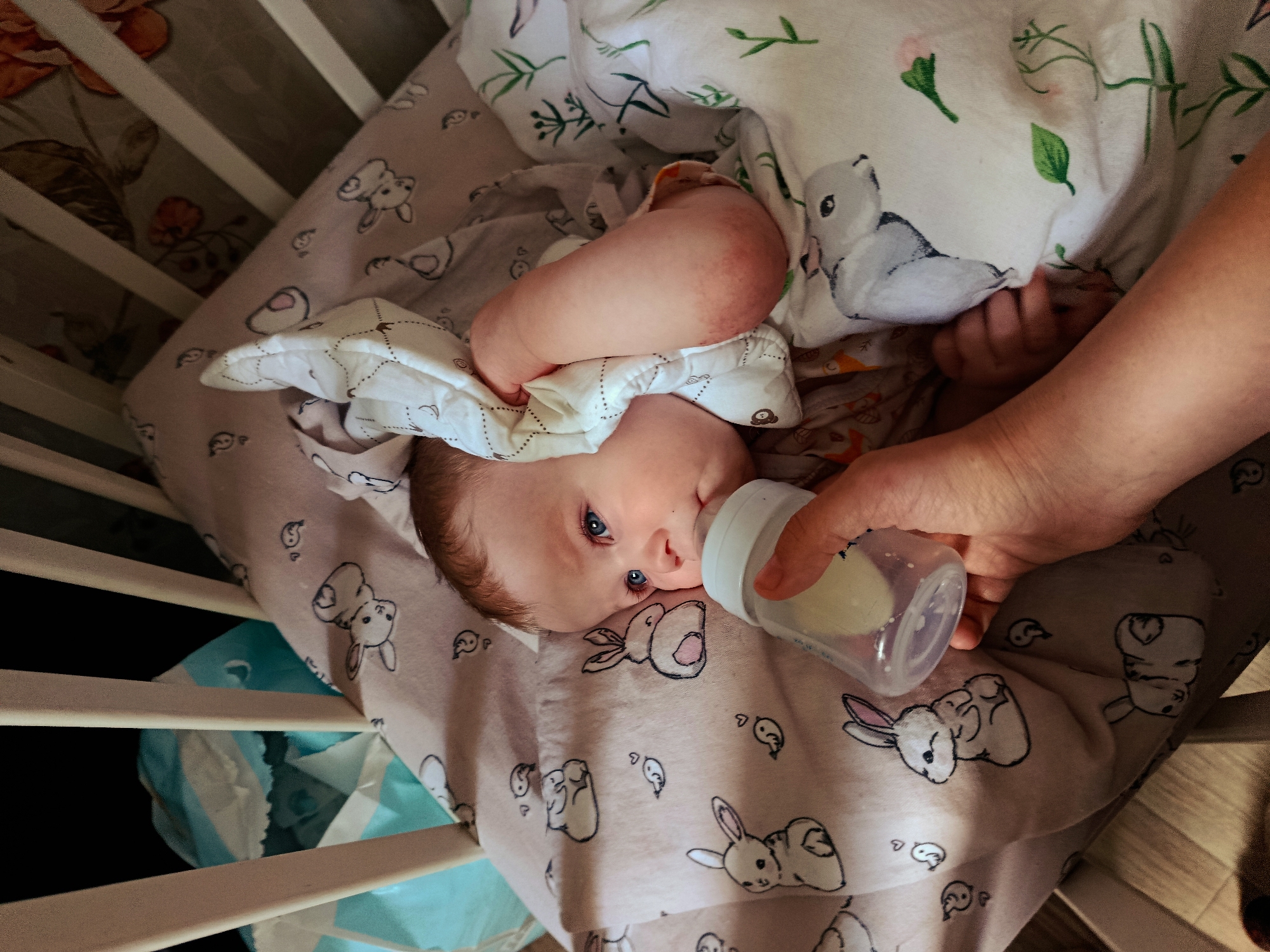 The image presents an overhead view of a baby being bottle-fed within a crib. A light-skinned infant, featuring blue eyes and reddish-brown hair, is lying on its back, with its head slightly turned, gazing towards the source of nourishment. An adult's hand, entering from the right side of the frame, holds a clear baby bottle containing a light-colored liquid, presumably milk or formula, to the baby's mouth.
The baby is positioned on soft bedding, which includes a light pink sheet or mattress cover patterned with outlines of white bunnies and small chick or duckling figures. Draped over the baby is a white blanket adorned with green leaf motifs and a gray, koala-like animal design. Another white blanket with faint patterns is visible near the baby's head and body.
The setting is an indoor space, likely a nursery or bedroom. White wooden bars of the crib frame the scene, visible on the left and right. Beyond the crib bars on the far left, a patterned sheet with large brown and orange floral designs can be seen. A crumpled blue plastic item is partially visible through the lower-left crib bars. The lighting is warm and ambient, characteristic of an indoor environment. The baby appears calm and focused on feeding. No visible text is present in the image. The location context provided is Фоки, Russia.