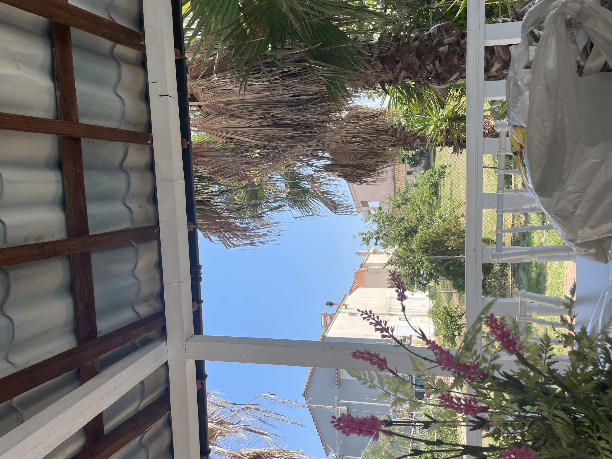 The image depicts a view from a covered outdoor area, likely a veranda or patio, overlooking a residential neighborhood on a sunny day. The foreground features a white railing and a table partially covered with plastic sheeting. To the left, artificial pink flowers and greenery are arranged. Beyond the railing, a lush green lawn is visible, bordered by a wire fence. In the mid-ground, several houses with terracotta roofs are visible, along with trees and palm trees. The sky is clear blue. The location is identified as Skala Avdiron, Greece.