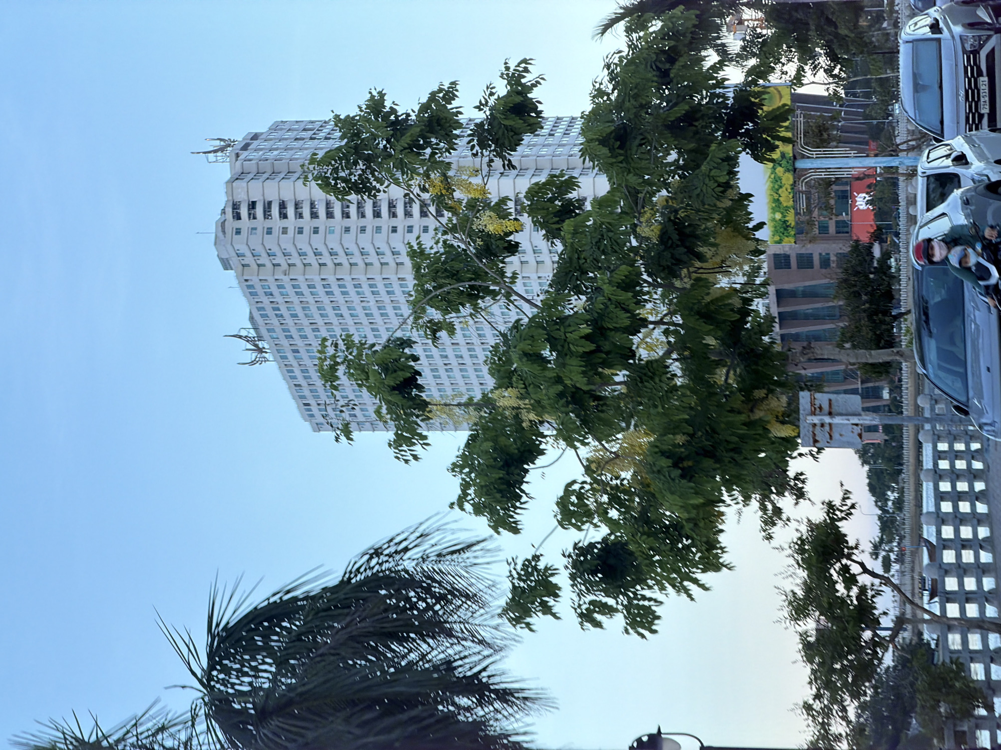 In Nha Trang Ward, Vietnam, a tall, white, multi-story building with many windows stands prominently against a clear blue sky. In front of the building, a leafy tree with yellow blossoms partially obscures the structure. To the left, the fronds of a palm tree are visible. At the bottom of the image, a street scene unfolds. A motorcycle with two occupants, a driver wearing a red helmet and a mask, and a passenger, is in the foreground. Several cars are parked or driving on the road. A low, decorative wall runs along the waterfront, with a body of water and boats visible beyond it. The overall scene depicts an urban environment with a mix of modern architecture and natural elements.