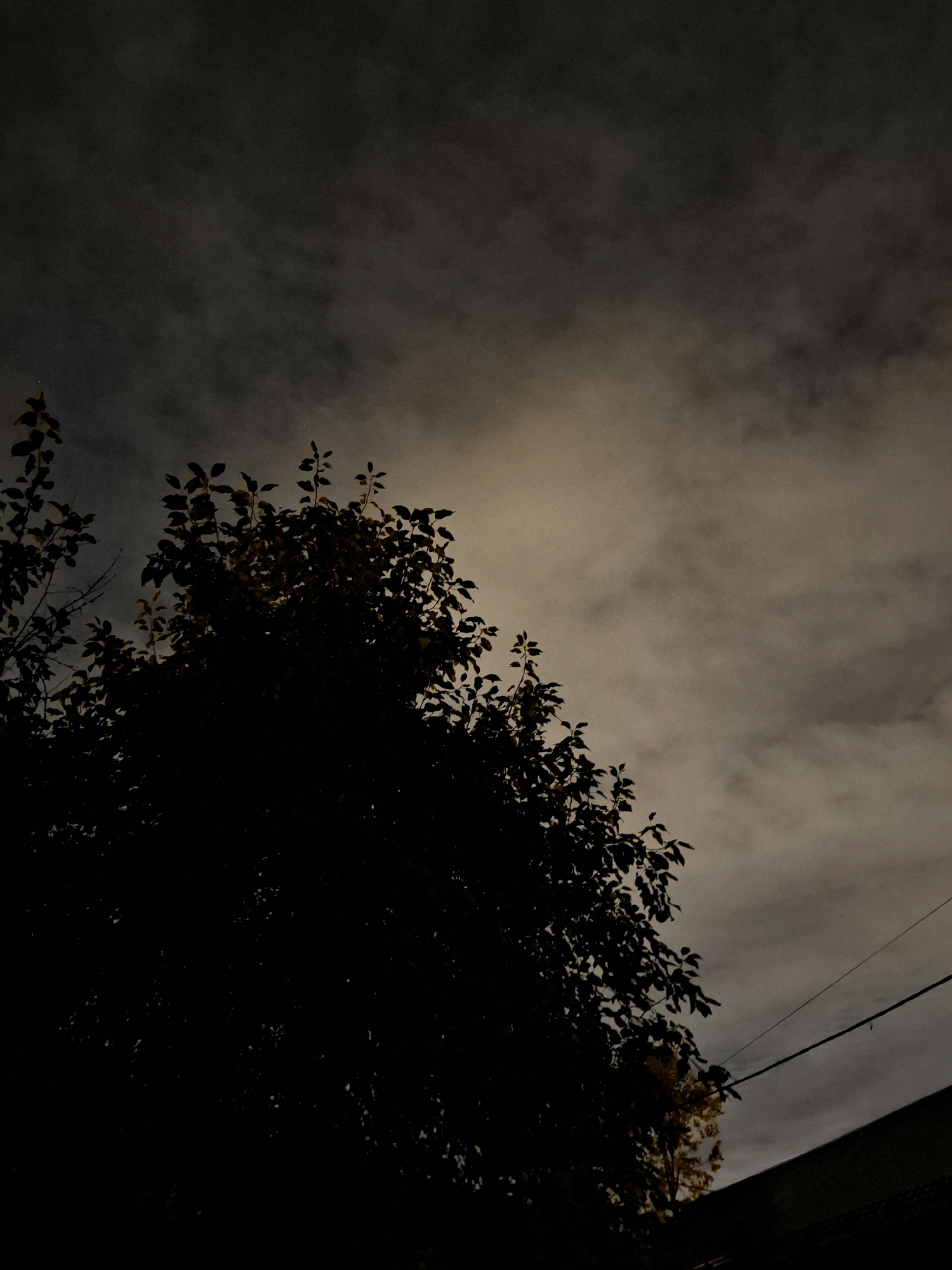 The image is a low-angle shot of a tree silhouetted against a cloudy night sky. The clouds are illuminated by an unseen light source, possibly the moon or streetlights, creating a hazy, diffused glow. The tree's branches and leaves are dark and indistinct, with some hints of yellowed leaves suggesting autumn. A thin electrical wire runs diagonally across the upper right portion of the image, connecting to an unseen pole or building. The roofline of a dark structure is visible in the lower right corner. The overall atmosphere is moody and somewhat mysterious. There are no people or animals visible in the image. The location is specified as Tyumen, Russia.