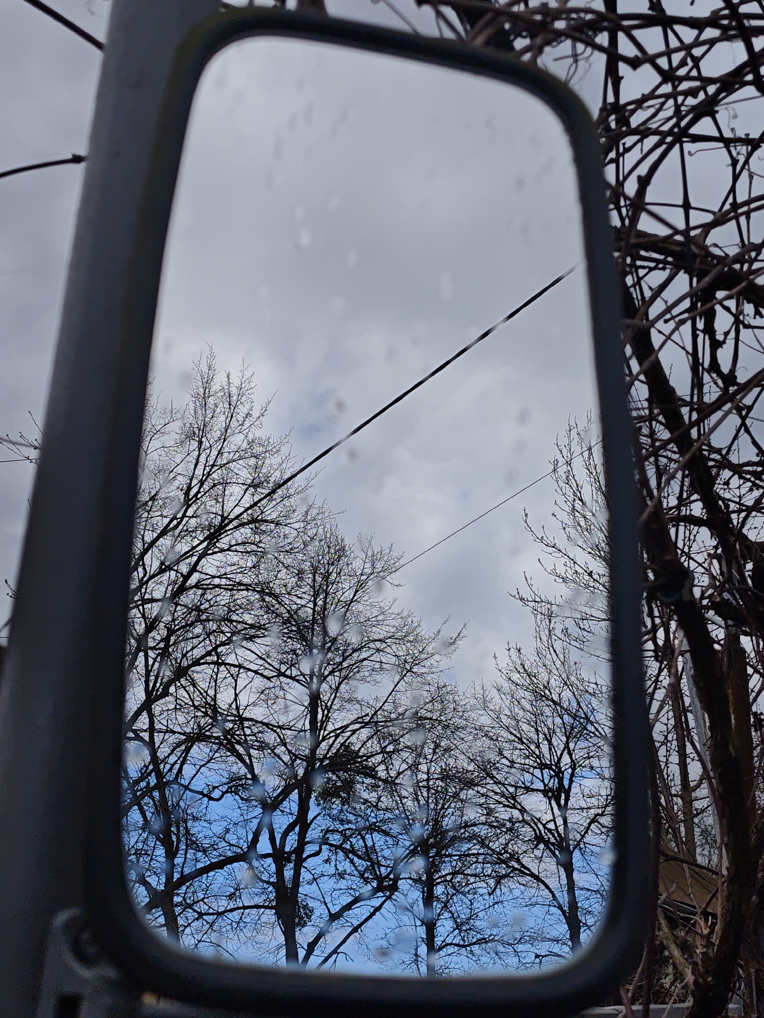 The image shows a rectangular mirror reflecting a winter scene in Parkhomivka, Ukraine. The mirror's frame is dark and thick. The reflection displays leafless trees against a cloudy sky with patches of blue. A power line cuts across the top of the reflection. Water droplets are visible on the mirror's surface. To the right of the mirror, outside the reflection, are more branches and vines.