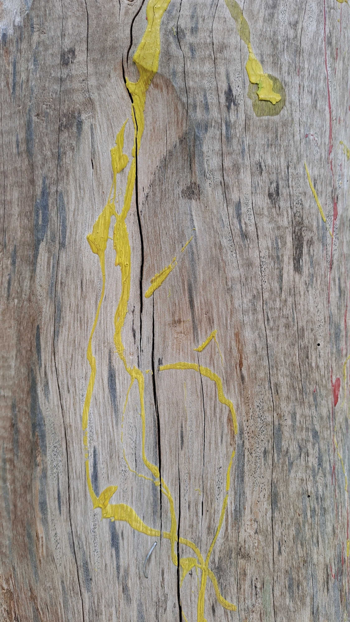 The image shows a close-up, vertical view of weathered, light brown wood grain with prominent cracks. Splashes and streaks of bright yellow paint are visible across the surface, following the contours and cracks of the wood. There are also faint traces of red paint on the right side of the image. The texture of the wood is rough and uneven, with some darker gray or black marks scattered throughout. The lighting appears to be natural, casting soft shadows that highlight the texture of the wood and the application of the paint. The image does not depict any people, identifiable objects, or actions. The context of the image being from Geulanggang Baro, Indonesia, suggests it might be a detail of an outdoor structure or natural element within that location.