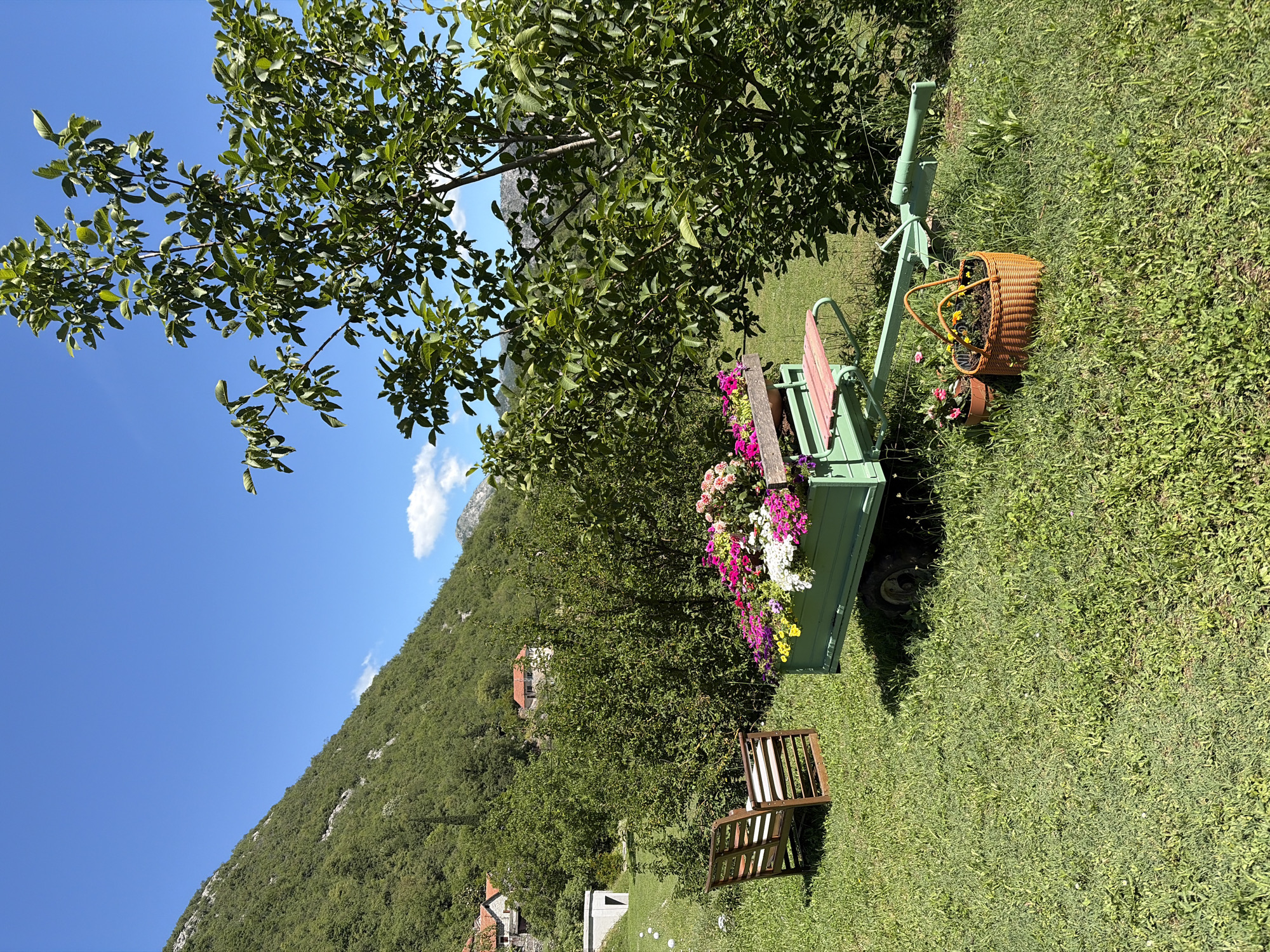 In Ceklin, Montenegro, a sun-drenched outdoor scene unfolds on a grassy hillside. In the foreground, a light green, two-wheeled trailer is adorned with a vibrant arrangement of colorful flowers, including pink, white, and yellow varieties. Next to the trailer, a terracotta pot holds a few pink flowers, and a woven basket sits filled with soil and small plants. To the left of the trailer, a wooden bench with white striped cushions offers a place to rest. The background is dominated by a lush, green mountainside dotted with trees and a few houses with red-tiled roofs. A large tree with abundant green leaves stands to the right of the trailer, its branches reaching towards the clear blue sky, which is occasionally punctuated by wisps of white clouds. The overall atmosphere is serene and picturesque, indicative of a rural setting in the Montenegrin countryside.