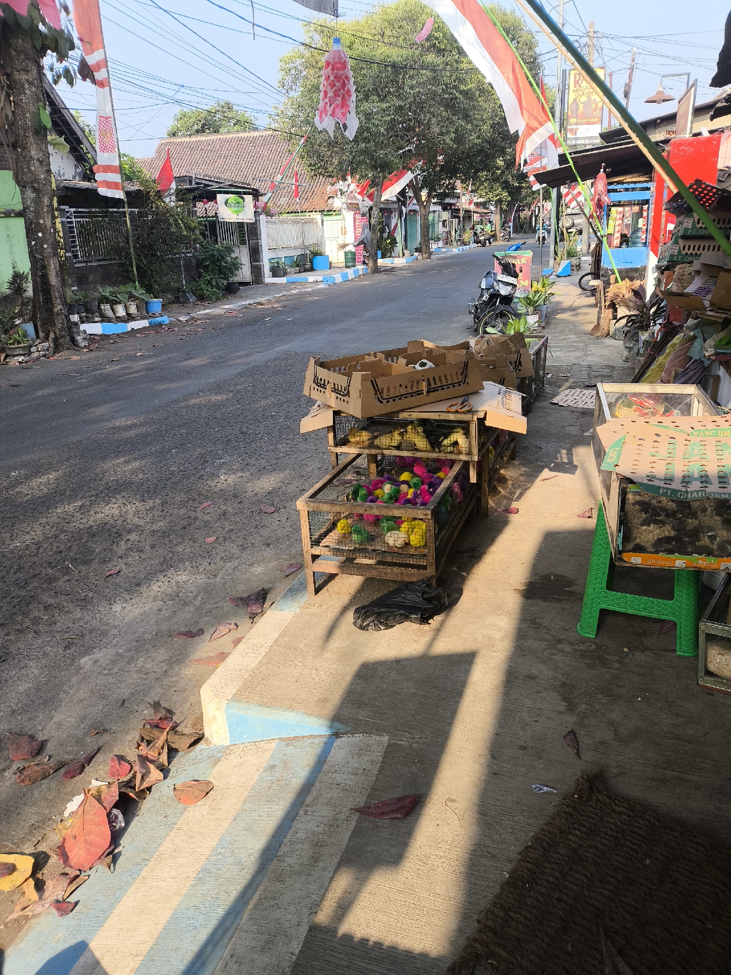 The image captures a street scene in Citrodiwangsan, Indonesia, with a focus on a roadside stall selling small animals, likely chicks or ducklings, in wooden cages. The sun casts long shadows across the paved road and sidewalk, indicating it's likely morning or late afternoon. Indonesian flags, red and white, are visible strung across the street and attached to buildings, suggesting a national holiday or celebration.

In the foreground, to the right, a green plastic chair supports a display case containing more of the colorful chicks. Cardboard boxes, some with printed text, are stacked around the stall. To the left, a road stretches into the distance, lined with buildings, trees, and parked motorcycles. The buildings appear to be a mix of residential and commercial structures, with some exhibiting traditional tiled roofs. The sidewalk is concrete, with a decorative blue and white striped border in places. Fallen leaves are scattered on the ground, adding to the natural elements of the scene. The overall impression is one of a vibrant, everyday market environment in a developing urban area, with a touch of patriotic decoration.