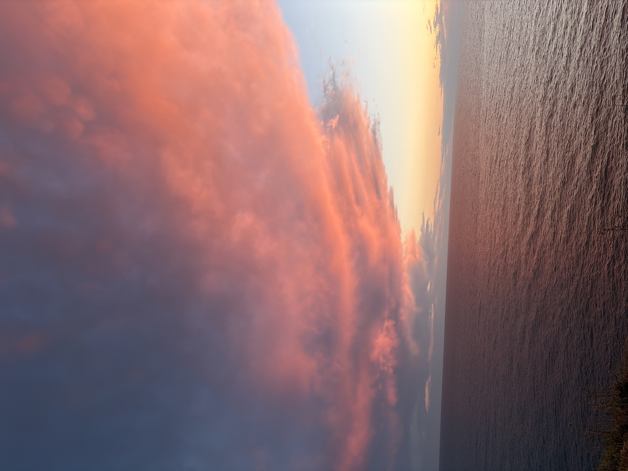 A panoramic landscape captures a dramatic sunset or sunrise over an expansive sea. The sky is dominated by a long, sweeping formation of clouds, brightly illuminated with intense hues of pink, orange, and soft red, particularly on their undersides and edges. These vibrant colors transition into deeper purples and mauves towards the left side of the sky, where the light is less direct. Behind the main cloud bank, a gradient of pale yellow and orange light fades into a faint blue sky near the horizon.
A clear, straight horizon line separates the colorful sky from the vast expanse of water, which occupies the right side of the image. The sea's surface is textured with countless small ripples and waves, reflecting the low, warm light of the sky in deep reddish-brown and coppery tones. In the bottom right corner, a small section of dark, indistinct vegetation hints that the photo was taken from an elevated coastal position, looking out over the water. The scene evokes a powerful yet serene mood, characteristic of twilight or dawn. No people, specific objects, or visible text are present. The setting is consistent with a coastal area like Starotitarovskaya, Russia.