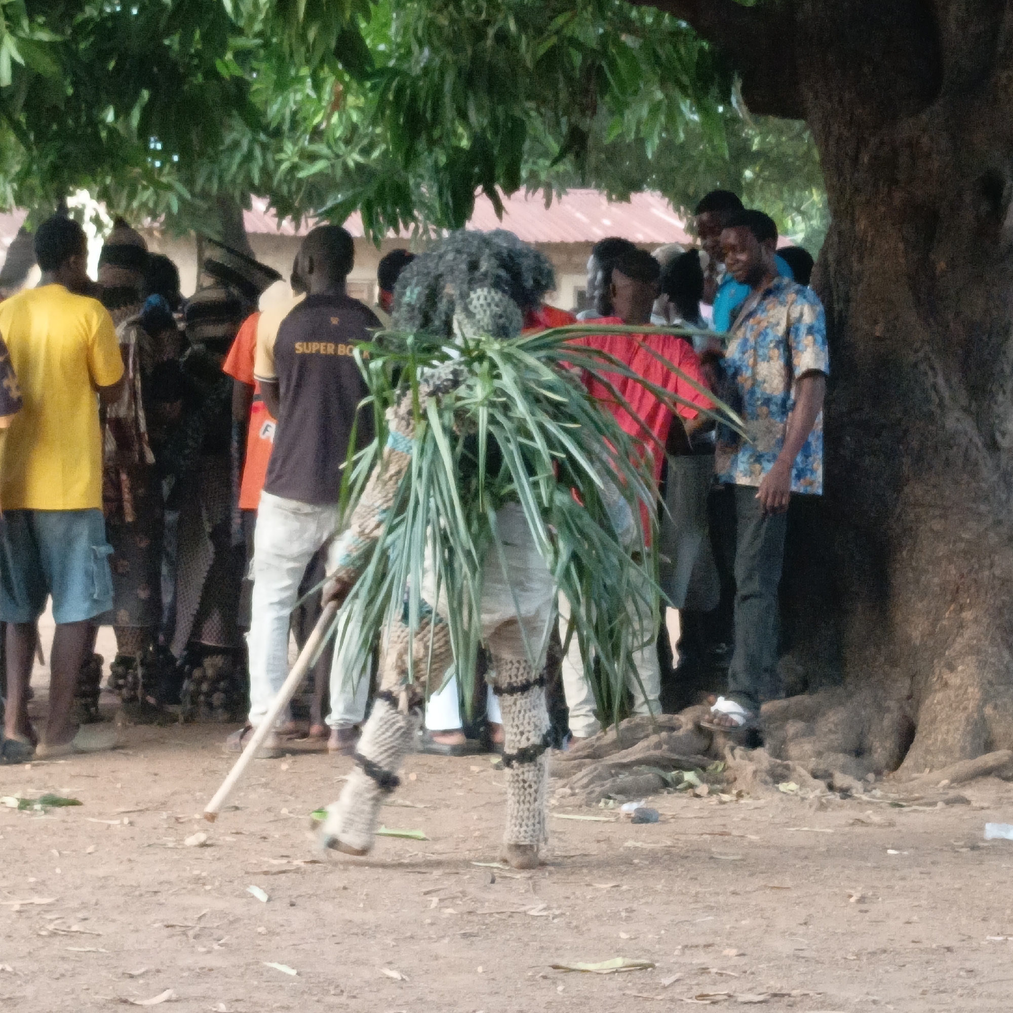 The image depicts a person in a traditional costume, likely a masquerade, in Akwanga, Nigeria. The individual wears a dark, densely textured mask, covered in green foliage, and is wrapped in woven material, including knitted coverings on their legs. They carry a wooden stick. Several onlookers surround the masquerader. The people are standing on a dirt-covered area near the base of a large tree. A few buildings are in the background.