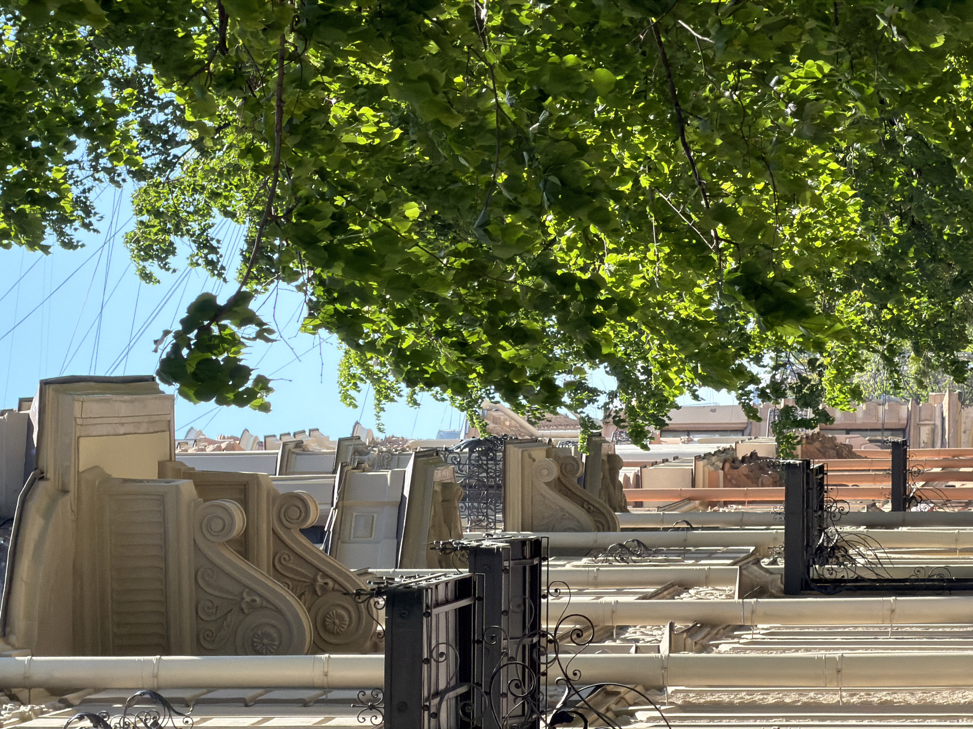 The image shows a view of Saint Petersburg, Russia, likely from a high vantage point. The scene features rooftops with ornate architectural details, including scrolled designs, balustrades, and decorative ironwork. The structures are a mix of beige and light brown hues. A tree with dense green foliage overhangs the scene, partially obscuring the sky, which is a clear blue in areas. Thin wires are also visible against the sky.