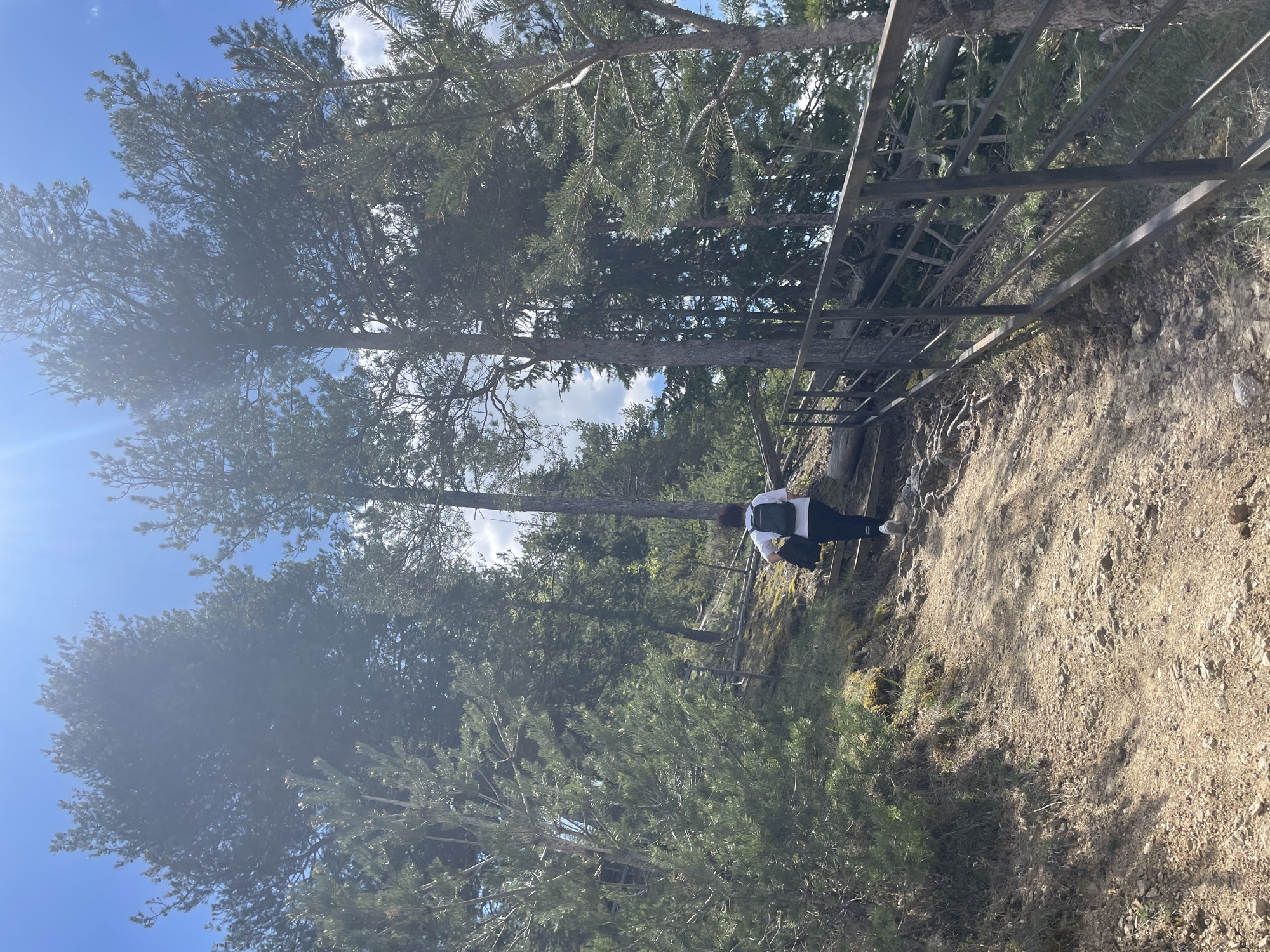 The image shows a person hiking on a dirt path alongside a metal railing in a forest, possibly in Gradat, Bulgaria. The person is wearing a white shirt, black pants, and white shoes, and carrying a dark-colored bag on their back. The path appears to be uneven and sloping. The surrounding environment is characterized by tall pine trees, with a blue sky visible through the branches. The image is taken from a slightly elevated perspective.