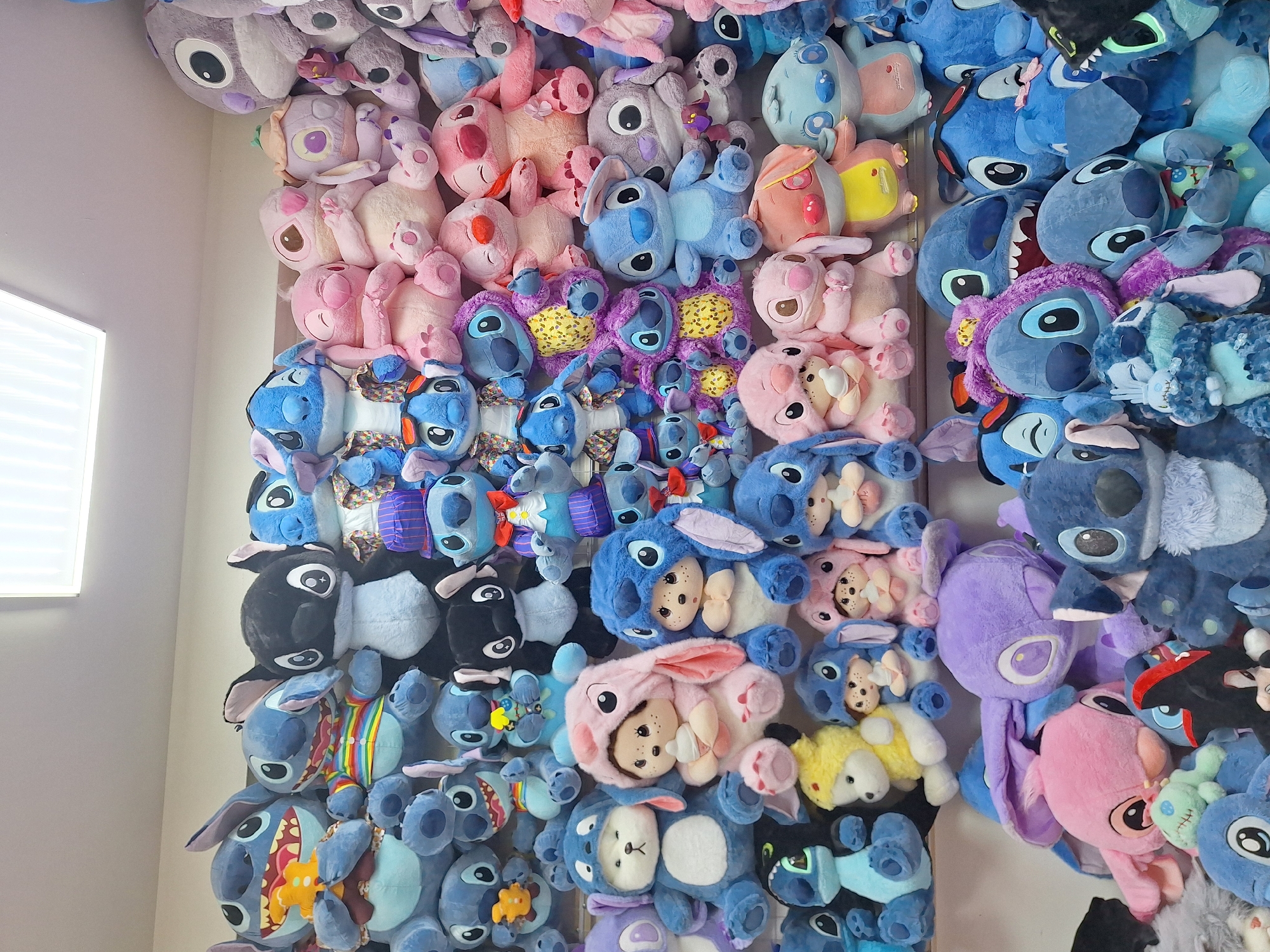 The image displays a large collection of plush toys, primarily of the Disney character Stitch, affixed to a wall. The toys vary in size, color, and design, including variations with different costumes and accessories. The arrangement appears dense and covers a significant portion of the wall. A light source is visible on the left side of the frame, illuminating the collection. The location is not discernible from the provided image.