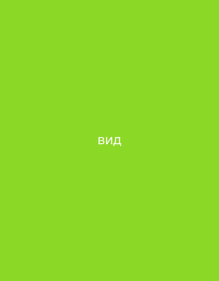 A minimalist image features a solid, bright green background. Centered in the middle of the frame, the word "вид" is displayed in white, sans-serif text. The word "вид" translates to "view" in English. The image does not depict any specific location within Gorzow, Poland, or any recognizable elements of the city. It is a purely abstract composition with text.