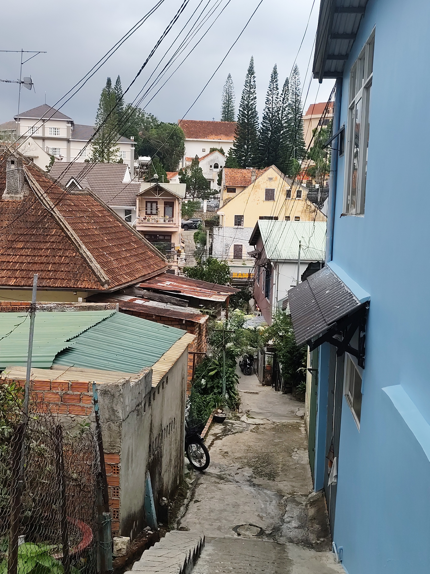 The image captures a narrow, descending alleyway in Cam Ly - Đà Lạt, Vietnam. The perspective is from an elevated position, looking down the lane. The alley is constructed of concrete, showing signs of wear and moisture.
The buildings on either side of the alley are diverse in style and color. On the right, a brightly painted blue building dominates the foreground. The building to the left is composed of a brick structure topped with a green corrugated metal roof. Further into the scene, other buildings with terracotta roofs and various pastel hues are visible. Some buildings display signs of age.
A network of electrical wires crisscrosses the sky above, adding to the visual complexity. Vegetation is present along the alley, with some plants overgrowing the edges. A motorcycle is parked on the left side of the alley. In the background, the tops of pine trees and other buildings are visible, with an overcast sky providing a muted light.