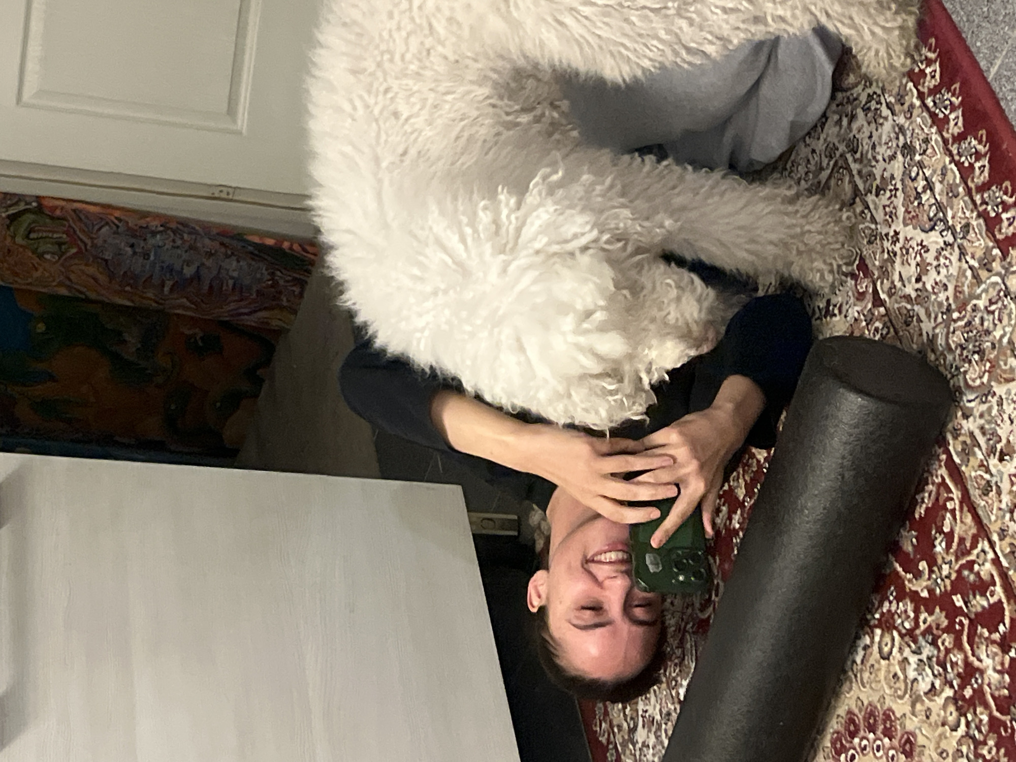 A person is lying on their back on a patterned rug, with a large, fluffy white dog mostly obscuring their upper body. The person is holding a green mobile phone near their face and smiling. A black foam roller is positioned next to the person. The background includes a white door and a painting with various colors. There is no evidence to suggest that the location is in the city of Krasnoyarsk, Russia.