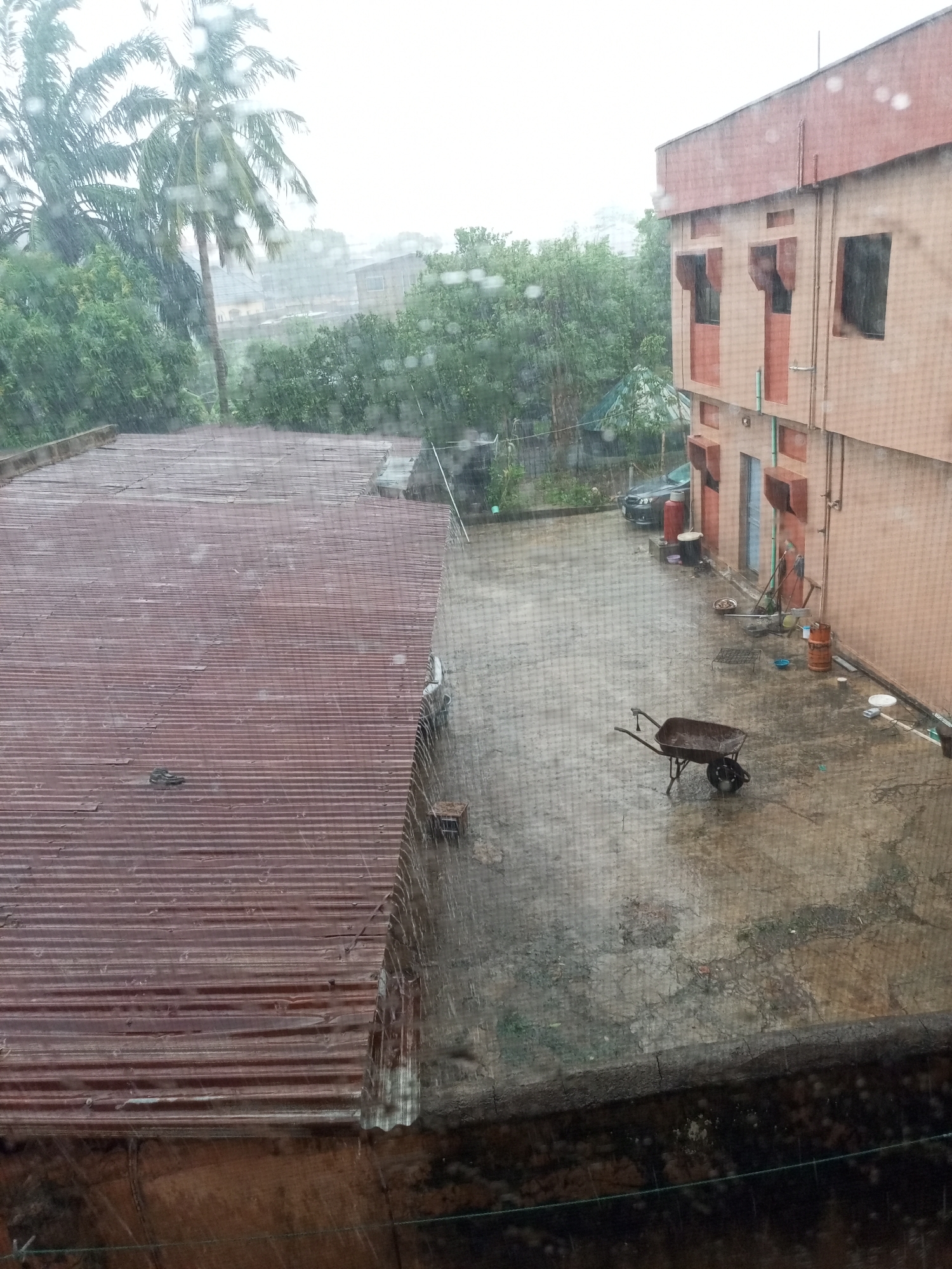 The photograph depicts a rainy day scene in what appears to be a tropical or subtropical environment, with a building and courtyard visible. The building is a two-story structure with an exterior painted in earth tones and orange accents. To the left, a corrugated iron roof is heavily saturated with rain. A concrete courtyard occupies the center of the scene, containing a wheelbarrow, various containers, and what appears to be gardening or outdoor equipment. In the background, lush green trees and possibly palm trees can be seen through the rain and mist. A vehicle, a dark-colored car, is parked along the fence that separates the building from the trees. The image is taken from an elevated position, likely from inside another building, with rain droplets visible on the window.