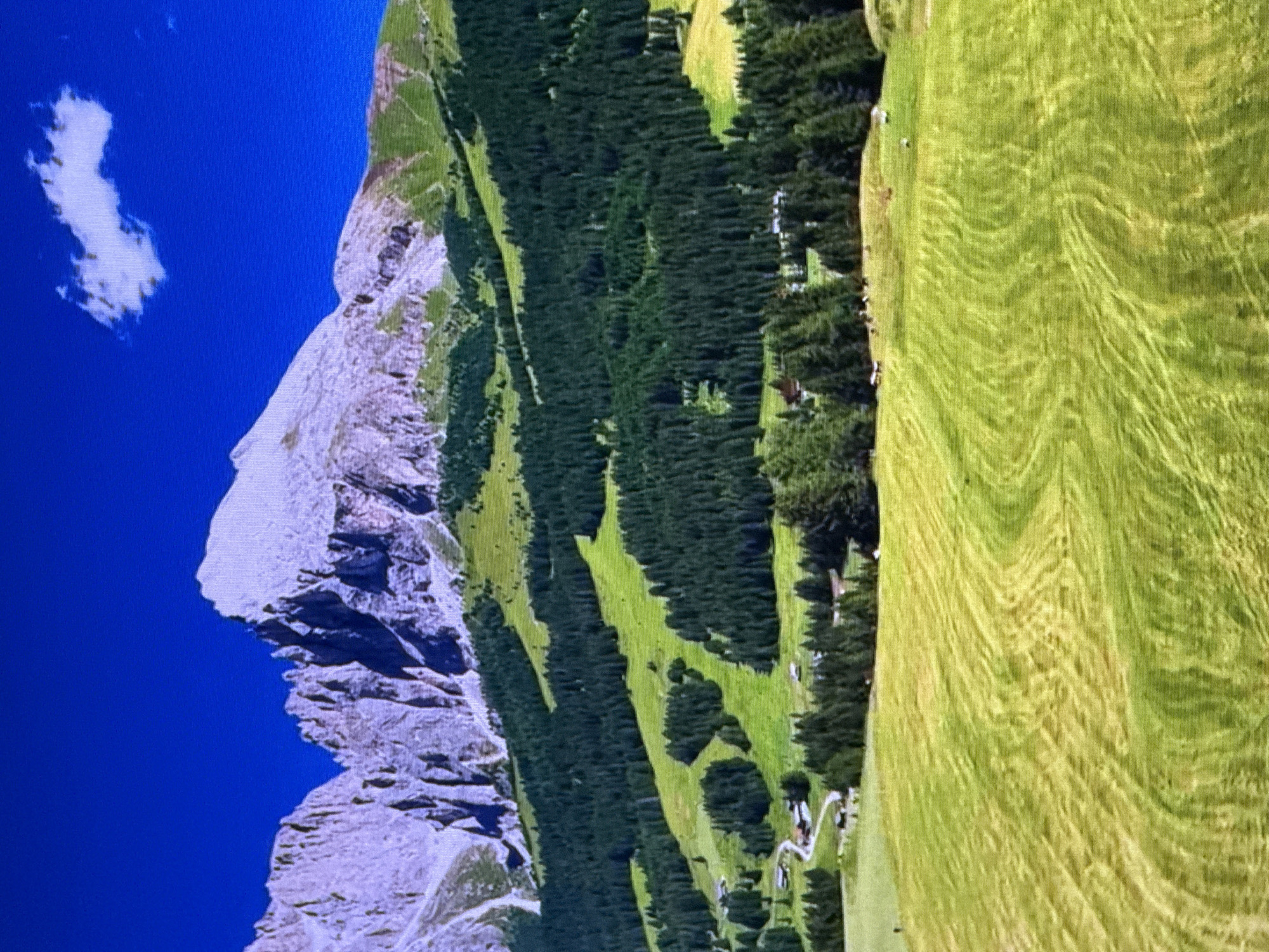 This is an image of a mountain landscape. The scene depicts a steep, rocky mountain face on the left, transitioning into a dense forest of evergreen trees, and finally to a rolling green meadow on the right. A single white cloud is visible in the bright blue sky. Scattered throughout the meadow and near the tree line are small white structures, possibly buildings or grazing animals, and a winding path. The light suggests it is daytime. The image has been rotated 90 degrees clockwise, so the mountain is on the left and the meadow is on the right. The location context provided is Dubai, United Arab Emirates, which is not geographically consistent with the mountainous landscape shown. There is no visible text in the image.
