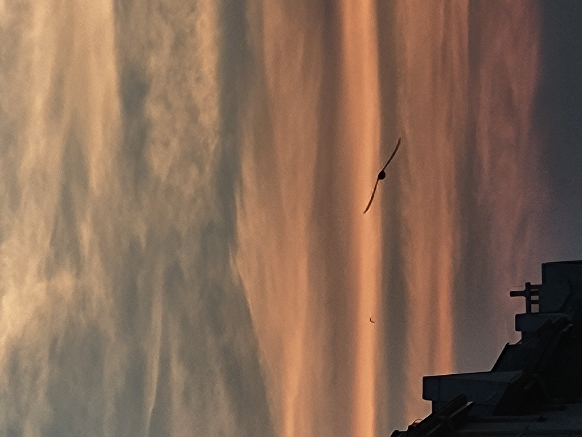 The image shows a sunset sky over the silhouette of buildings. The sky is filled with horizontal bands of clouds in shades of gray, pink, and orange, indicating a sunset or sunrise. Two birds are visible in flight against the sky. One bird is larger and closer to the foreground, with its wings outstretched in mid-flight. The other bird is a smaller speck in the distance. The lower portion of the image is dominated by the dark silhouettes of building rooftops, featuring chimneys and architectural details. The scene is static and devoid of people or any interactions. The location is noted as Unknown, Unknown.