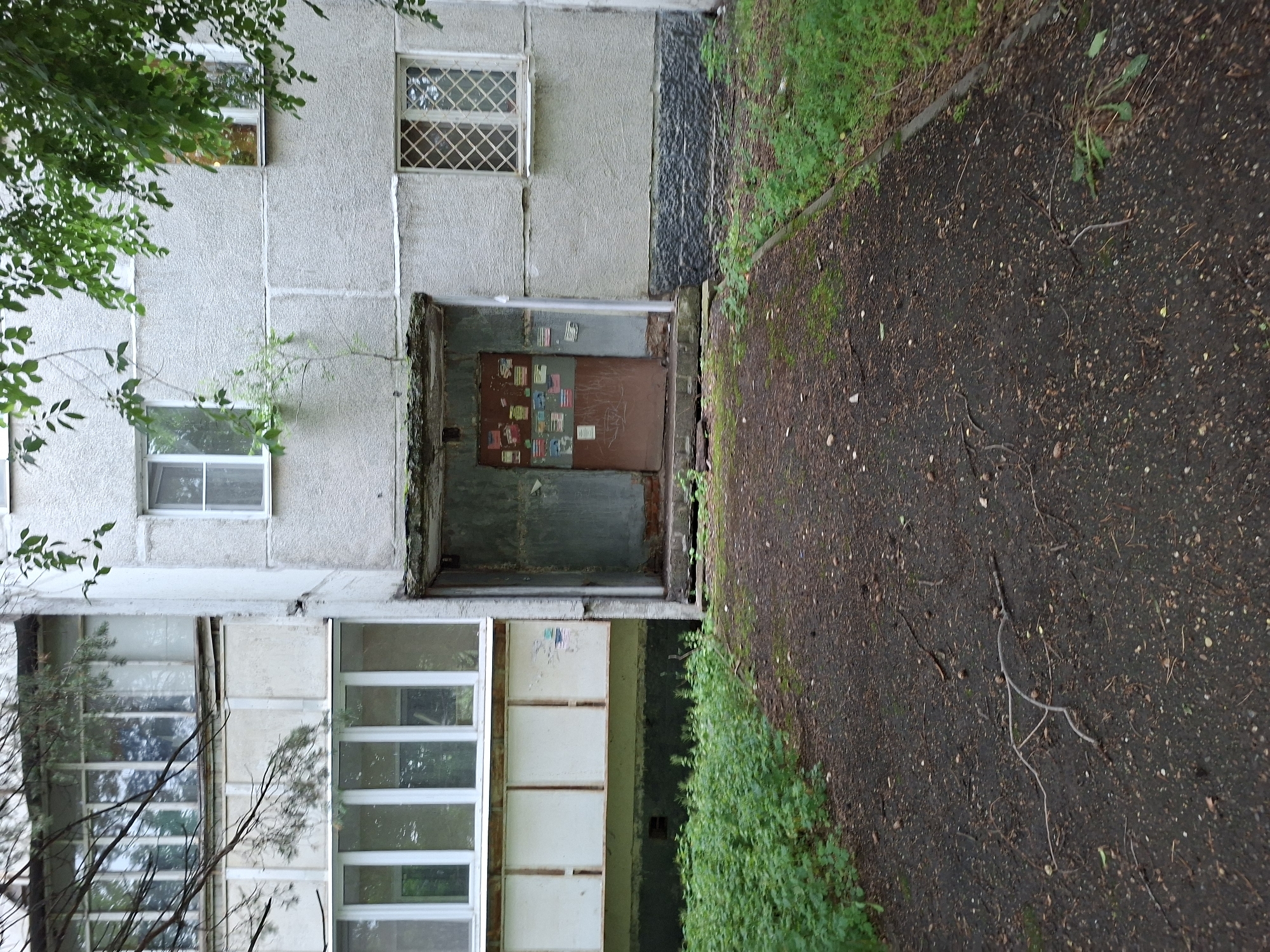 The image shows the entrance to a multi-story residential building in Kazan, Russia. The building appears to be old, with a grey, textured concrete facade. There are several windows visible, some with white frames and bars. The ground in front of the building is a dirt path with some scattered debris, suggesting it is an unkempt area. Lush green vegetation, likely bushes or small trees, grows along the side of the path and around the base of the building. A rusty brown door, covered in various notices and stickers, is visible under a small overhang, indicating the entrance. The overall scene is one of a somewhat neglected urban environment.