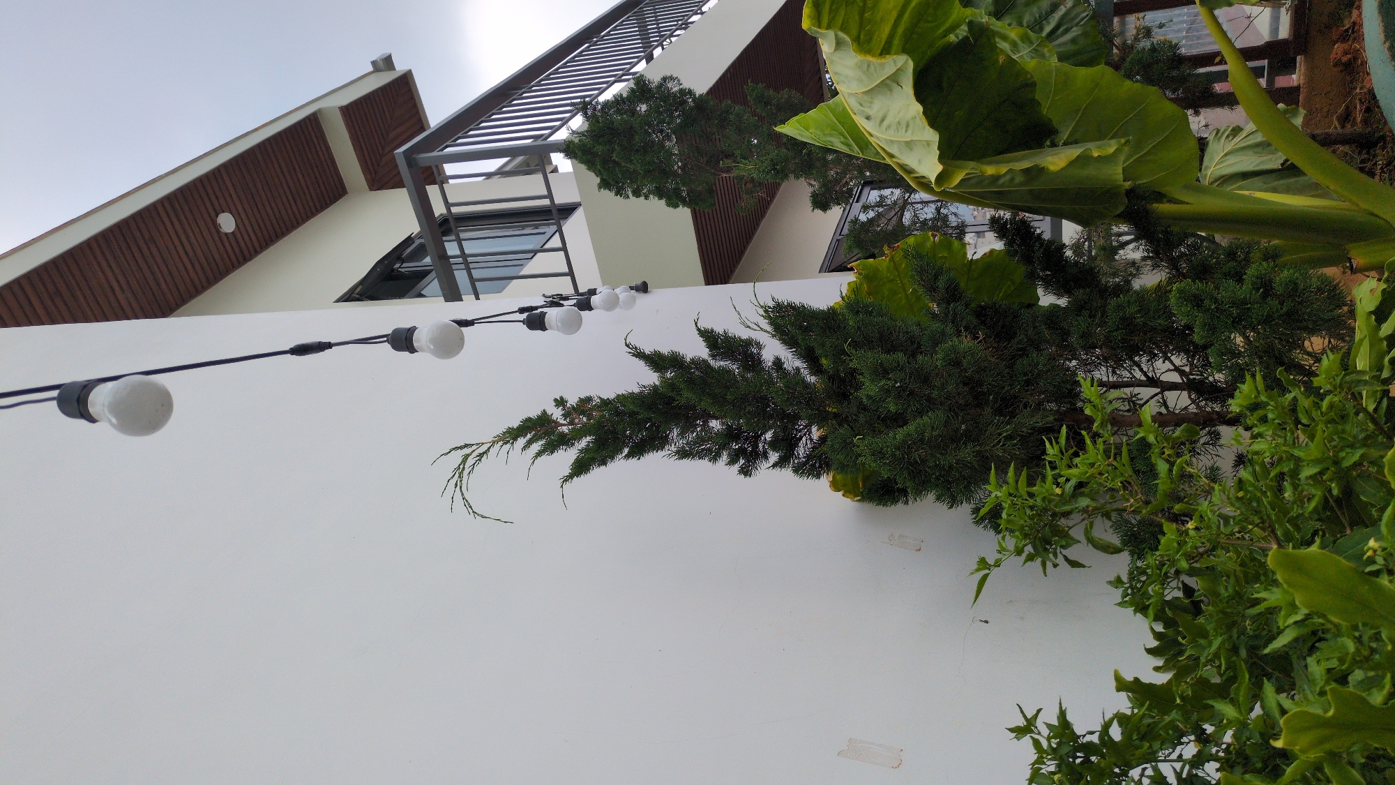 The photograph shows an upward view of a building facade in Da Lat, Vietnam. The building has a white wall in the foreground, against which hang a string of spherical light bulbs. The wall is also adorned with various plants, including coniferous trees, shrubs with glossy green leaves, and a large-leaved plant akin to elephant ear. The building itself features a modern design with a brown-paneled roofline and a steel-framed balcony or pergola structure. Visible through the plants are windows and additional facade details. The sky above is overcast.