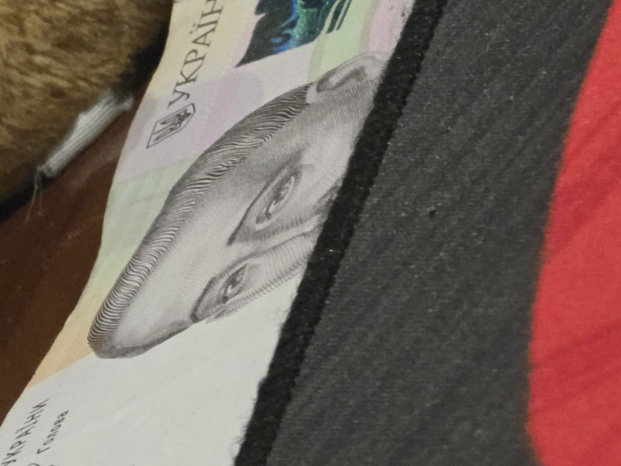 A close-up, angled shot shows a portion of a Ukrainian banknote. The banknote features a black and white portrait of a man's face, with intricate lines creating his hair and features. The words "УКРАЇНІ" and "ГОЛОВА" are visible in Ukrainian text. The banknote is partially obscured by a black fabric surface. The background consists of a blurred brown and tan textured surface, possibly a piece of furniture or cloth. There are no discernible elements indicating a specific city or location.
