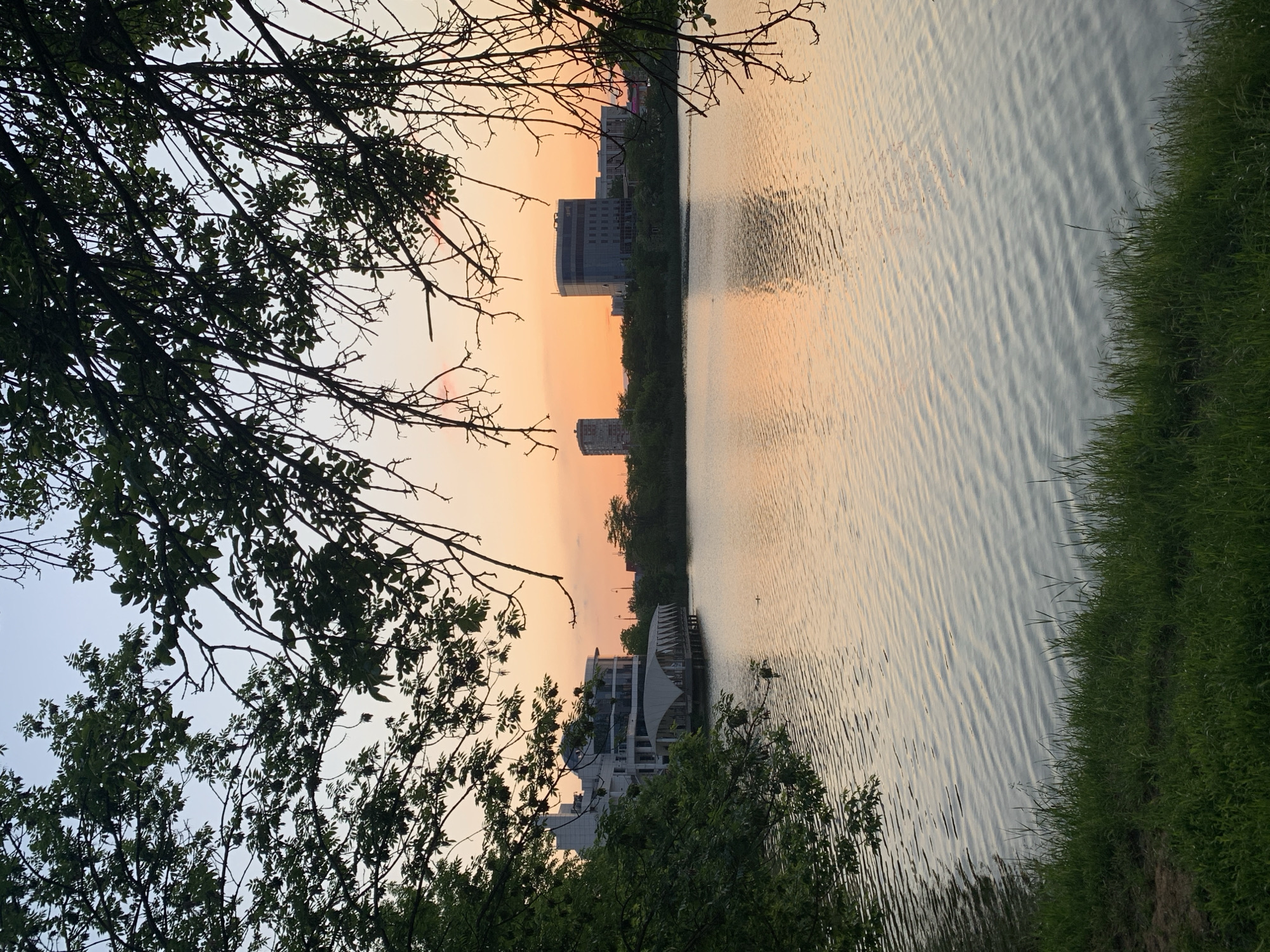 The image captures a tranquil scene at a body of water, possibly a lake or wide river, at dusk or dawn. The sky transitions from light blue to a warm orange near the horizon, suggesting either sunrise or sunset. Along the water's edge on the right side of the frame is a strip of green grass. On the opposite side, tree branches with dense foliage frame the view. Between the trees, buildings of varying heights are visible along the distant shoreline. One structure near the water is a white building with a distinctive roof. The water surface reflects the colors of the sky. The location is in an urban setting, characterized by modern buildings and water bodies. The city is Unknown, Unknown.