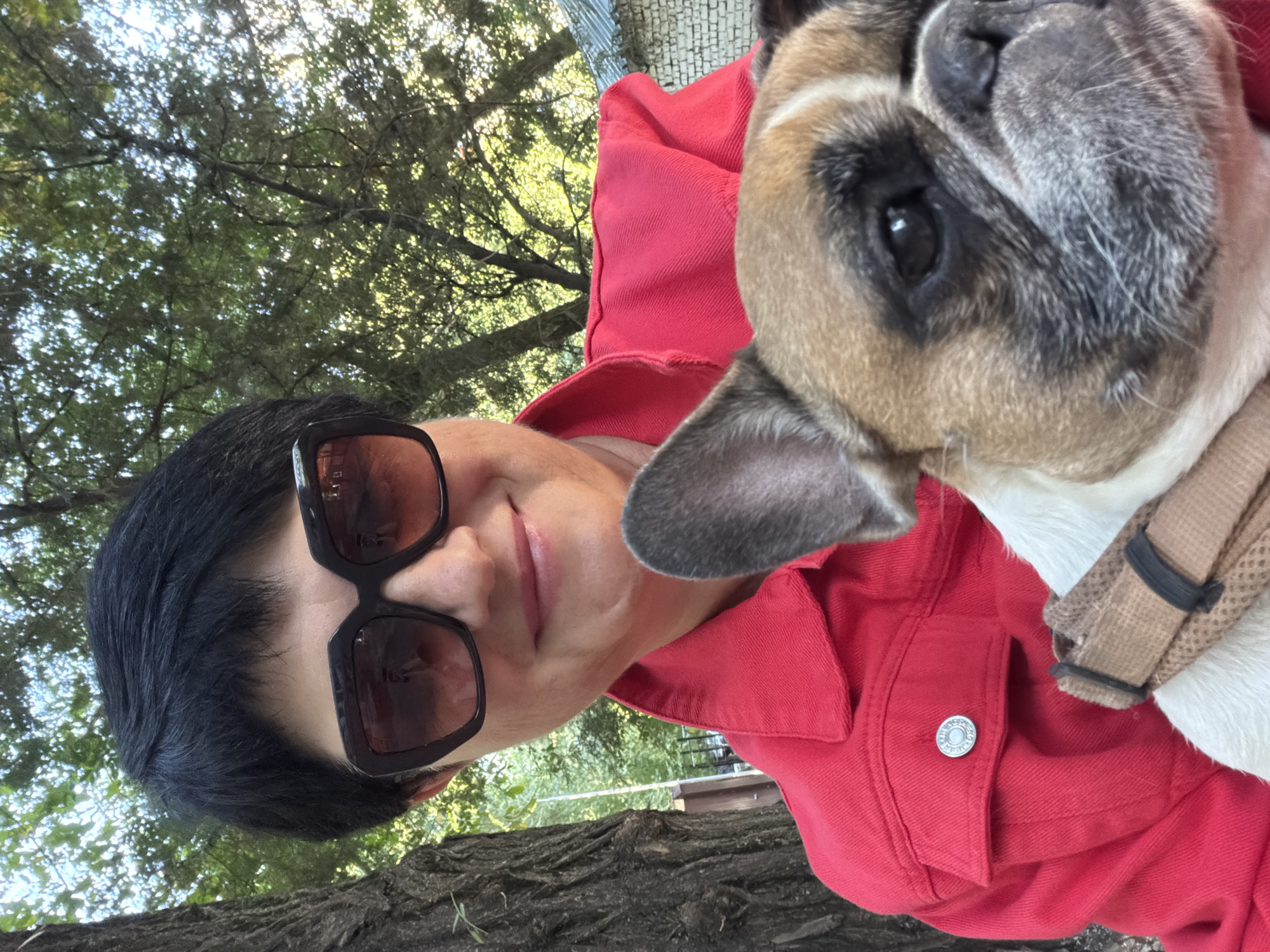 A woman with short black hair and dark sunglasses is taking a selfie outdoors. She is wearing a red denim jacket. She is holding a French bulldog, whose face is in the foreground. The background consists of trees, a tree trunk, and a brick wall. The location is a park or garden in the city of Almaty, Kazakhstan.