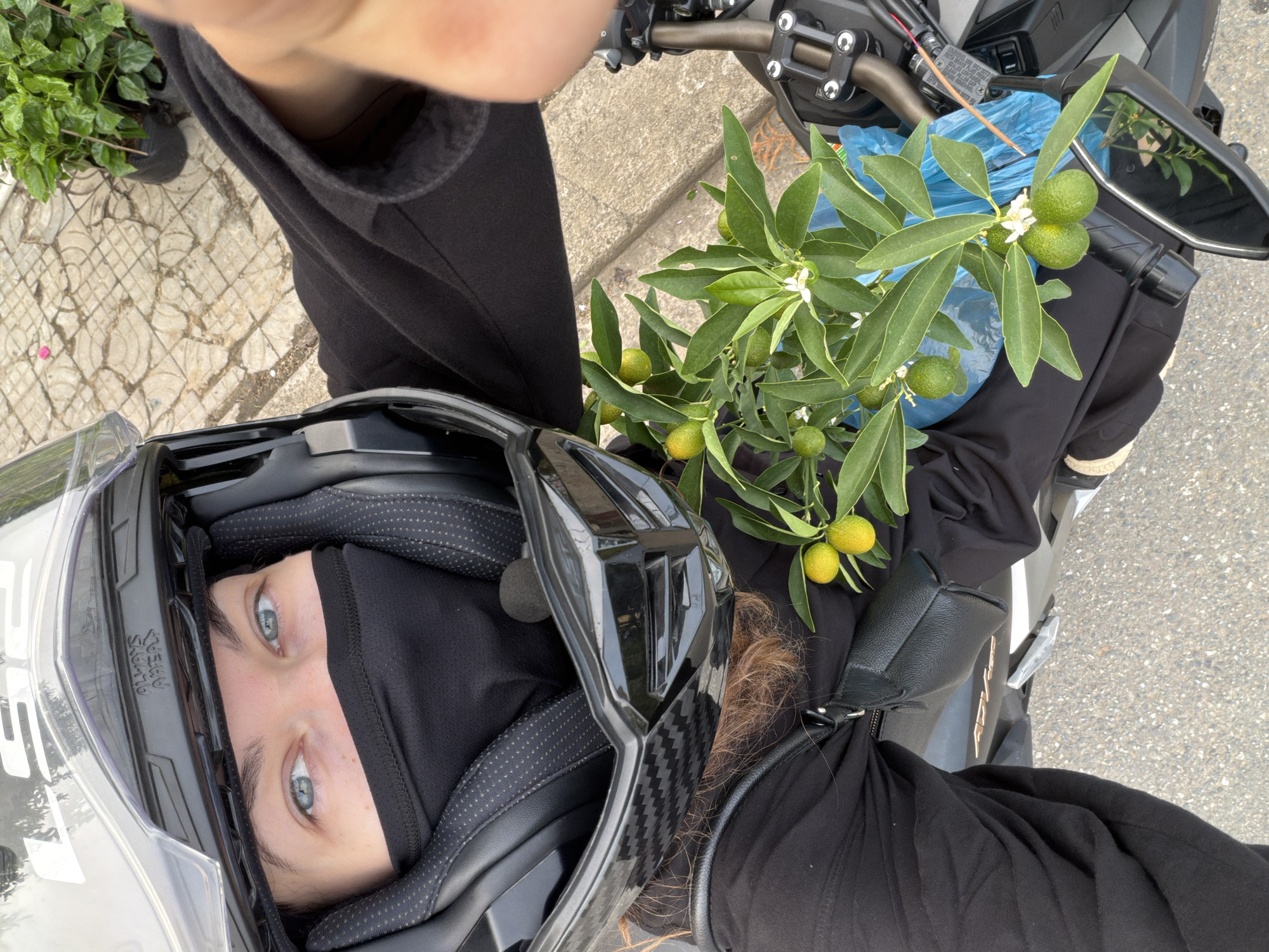 A person wearing a black balaclava under a motorcycle helmet takes a selfie on a motorcycle carrying a plant with green fruit. The motorcycle is parked on a paved surface near a tiled sidewalk with green plants in the background. The location is Đà Nẵng, Vietnam.