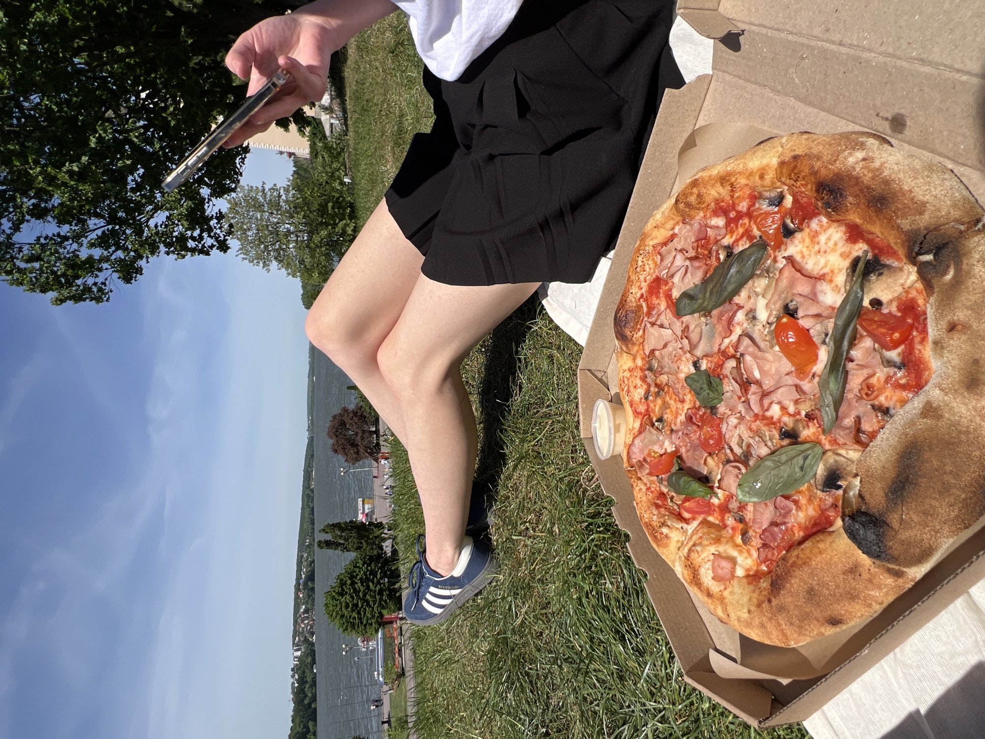 A person sits on grass next to a pizza in a cardboard box. The pizza is topped with tomato sauce, cheese, ham, tomatoes, mushrooms, and basil. A small container of sauce sits near the pizza. The person is wearing a white t-shirt, black shorts, and blue Adidas sneakers. They hold a smartphone in their hand. In the background, water, trees, and a city are visible. Based on the location features, it appears to be Ternopil, Ukraine.