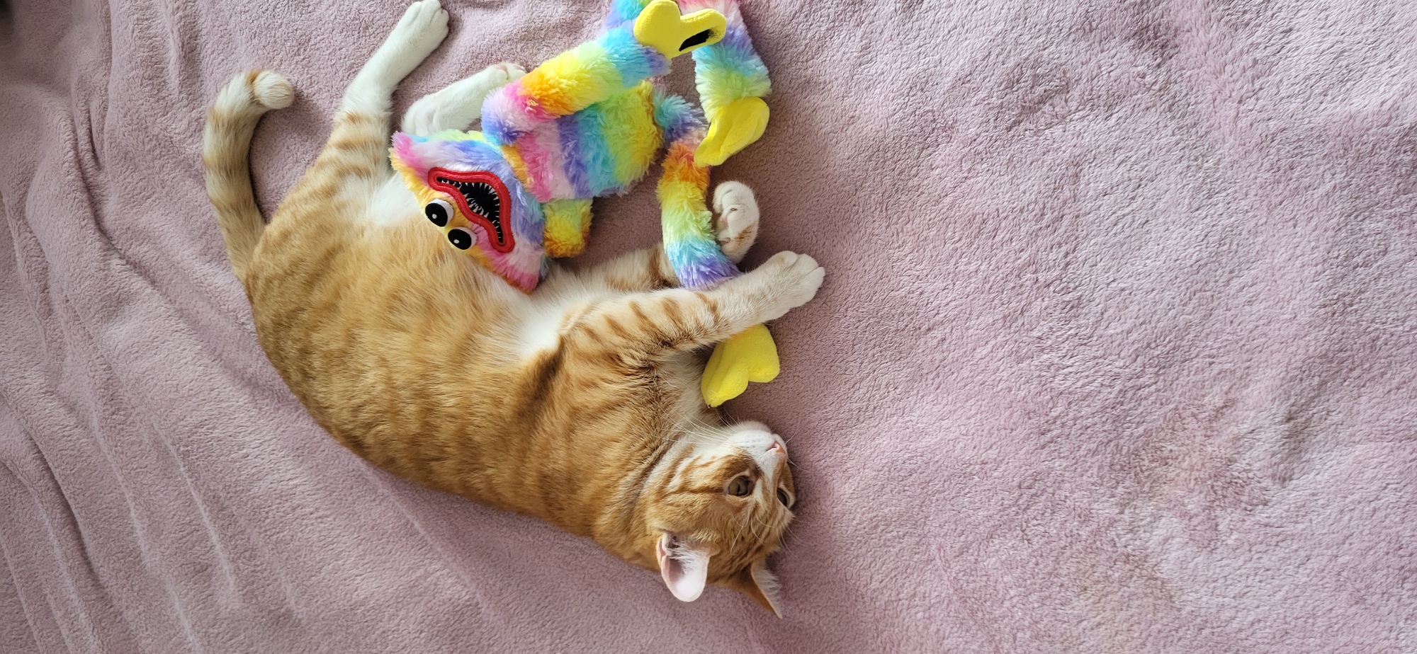 An orange tabby cat is lying on a pink, fuzzy blanket. The cat is resting its head on a yellow, star-shaped object, and its body is curled next to a rainbow-colored plush toy with black eyes and a wide, jagged smile. The plush toy is lying on its back with its limbs spread out. The background is the pink blanket, which has a soft, textured surface. There is no indication of the image's location within Moscow, Russia.