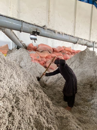 A man is digging a shovel into a mountain of gray, fibrous material. The man is dressed in dark clothing and is standing barefoot on the pile. Behind the man, at the top of the pile, are several light red bags. Above the bags, there is a gray pipe attached to the ceiling. The scene is taking place indoors. The city of Shurandam, Afghanistan, is not discernible from the image.