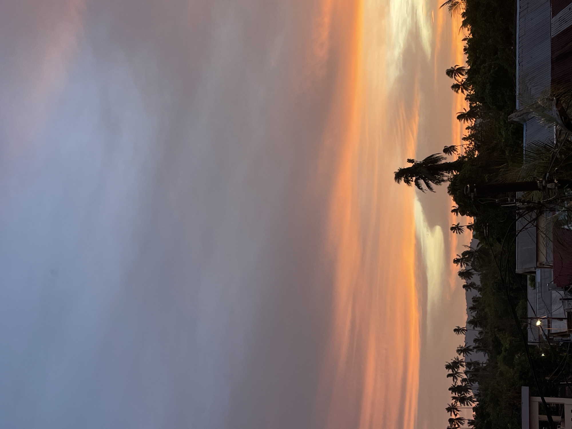 This is a photograph taken at sunset from a high vantage point in Manado, Indonesia. The sky dominates the upper half of the frame, transitioning from a soft, pale blue at the top to vibrant hues of orange and pink near the horizon, with wispy clouds scattered throughout. Below the sky, a dense line of lush green trees, dotted with numerous palm trees, stretches across the middle ground, forming a silhouetted landscape. In the foreground, glimpses of buildings with corrugated metal roofs and utility poles suggest a residential or urban area. The overall atmosphere is serene, capturing the beauty of a tropical sunset.