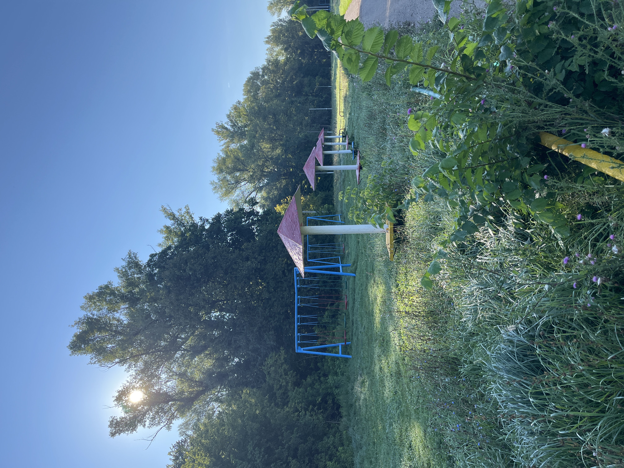 The image shows an outdoor scene on a clear, sunny day. In the foreground, there is a grassy area with various plants and a paved path on the right side. A cluster of green leafy plants with some purple flowers is prominent on the right.
Further back, there are several umbrella-like structures with red roofs and white poles, each resting on a yellow base. To the left of these structures, a blue swing set with multiple swings is visible.
The background consists of a dense line of green trees. The sun is shining brightly through the leaves of some trees on the left, creating a sun flare effect. The overall impression is of a recreational area in a natural setting. The specific location in Blagoveshchensk, Russia, is not discernible from the visual information presented in the image. There are no people or animals present in the scene.