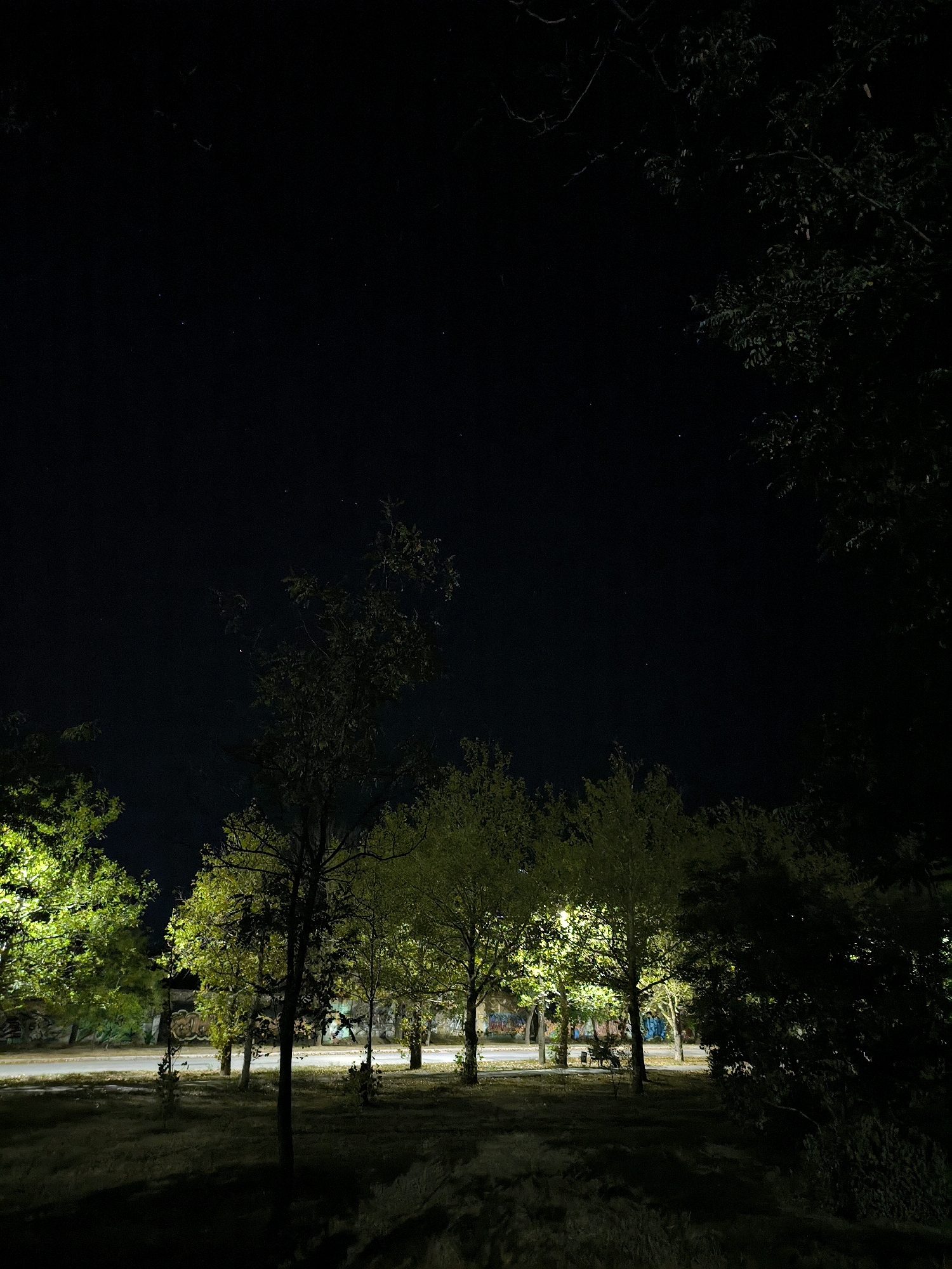 The image shows a nighttime view of a park area with trees and a road in the city of Mykolaiv, Ukraine. The sky is dark and clear, with a few visible stars. The trees are illuminated by artificial lights, casting long shadows on the ground. Some of the trees have vibrant green foliage, while others are darker and more silhouetted. In the background, there is a wall with graffiti on it, and a road with a streetlamp visible. The ground is covered in grass and dry leaves. There are no people or animals visible in the image. The overall scene suggests a quiet and peaceful urban park at night.