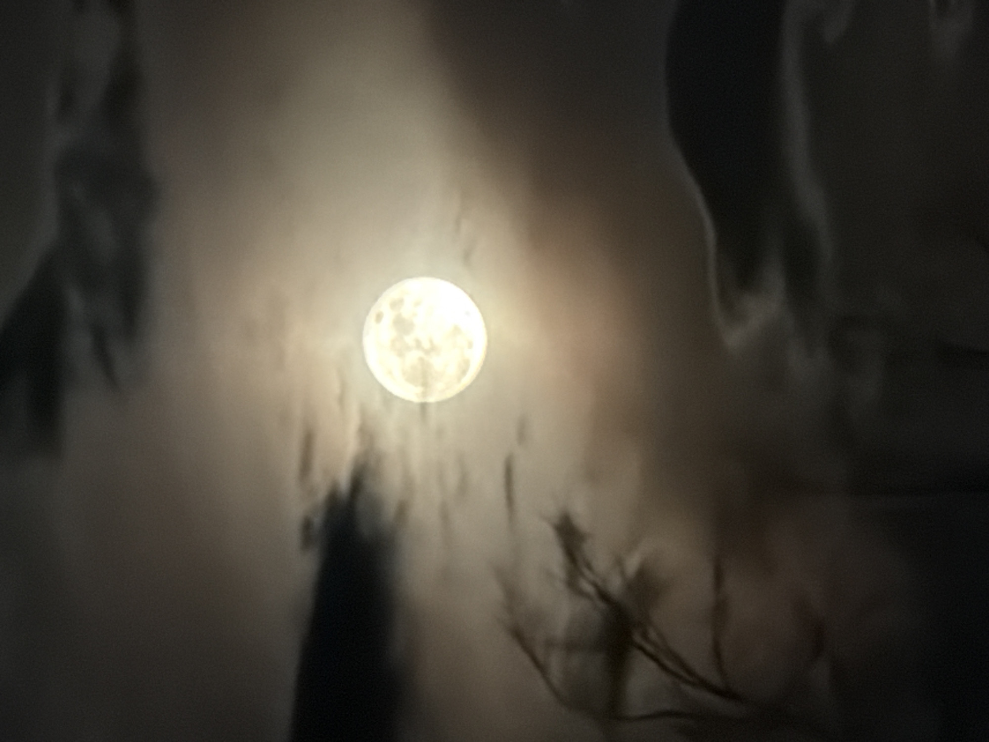 The image shows a full moon in the night sky partially obscured by clouds. Some dark shapes resembling tree branches are visible in the lower right corner. The scene evokes a night-time atmosphere, seemingly rural as Chaikovsky is a regional city. The moon is very bright, and the cloud cover obscures the full view of it.