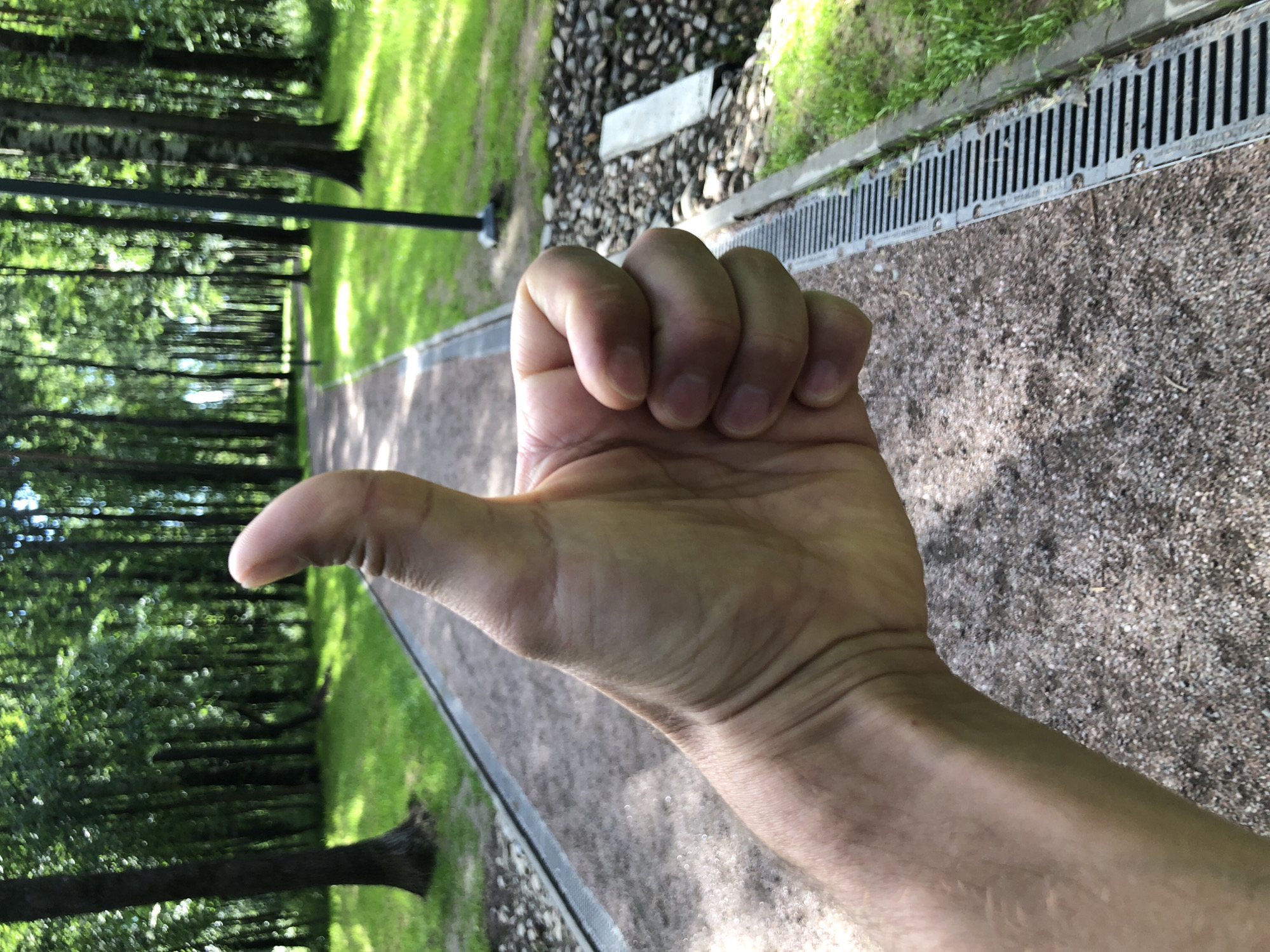 The image shows a close-up of a person's hand giving a thumbs-up gesture. The hand is positioned in the foreground, with the thumb extended upwards and the fingers curled into a fist. The background depicts a park-like setting with a paved pathway, green grass, and trees. A black lamppost is visible to the right of the pathway. The lighting suggests it is daytime. The overall scene appears to be a recreational area. Without further context or identifying markers, it is not possible to pinpoint the specific location within Saint Petersburg, Russia.