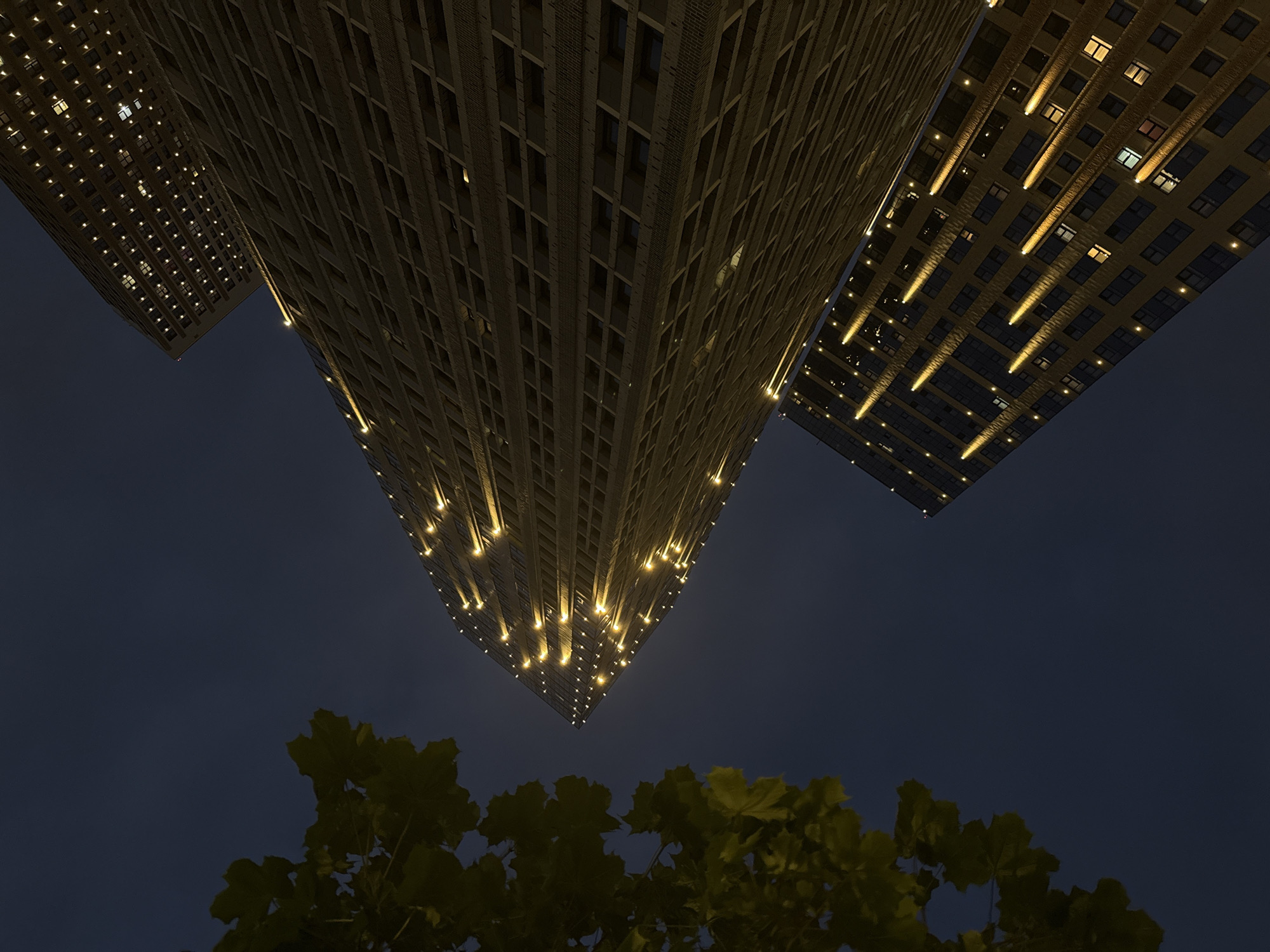 An outdoor, low-angle, nighttime shot features the exterior of two modern, tall buildings with a dark blue sky as the background. The building in the foreground is a light brown, multi-story structure with a grid-like pattern of windows. Along its upper edge, decorative lights cast a warm, golden glow. The second building, located behind and to the left of the first, is also tall and modern, appearing lighter in color, possibly white or light gray. It also has numerous small, lit windows, suggesting it's an apartment building or office space. A portion of a leafy tree, rendered in a dark green hue, is visible in the upper left corner of the frame, partially obscuring the sky. The lighting on the buildings suggests they are illuminated for aesthetic purposes at night.