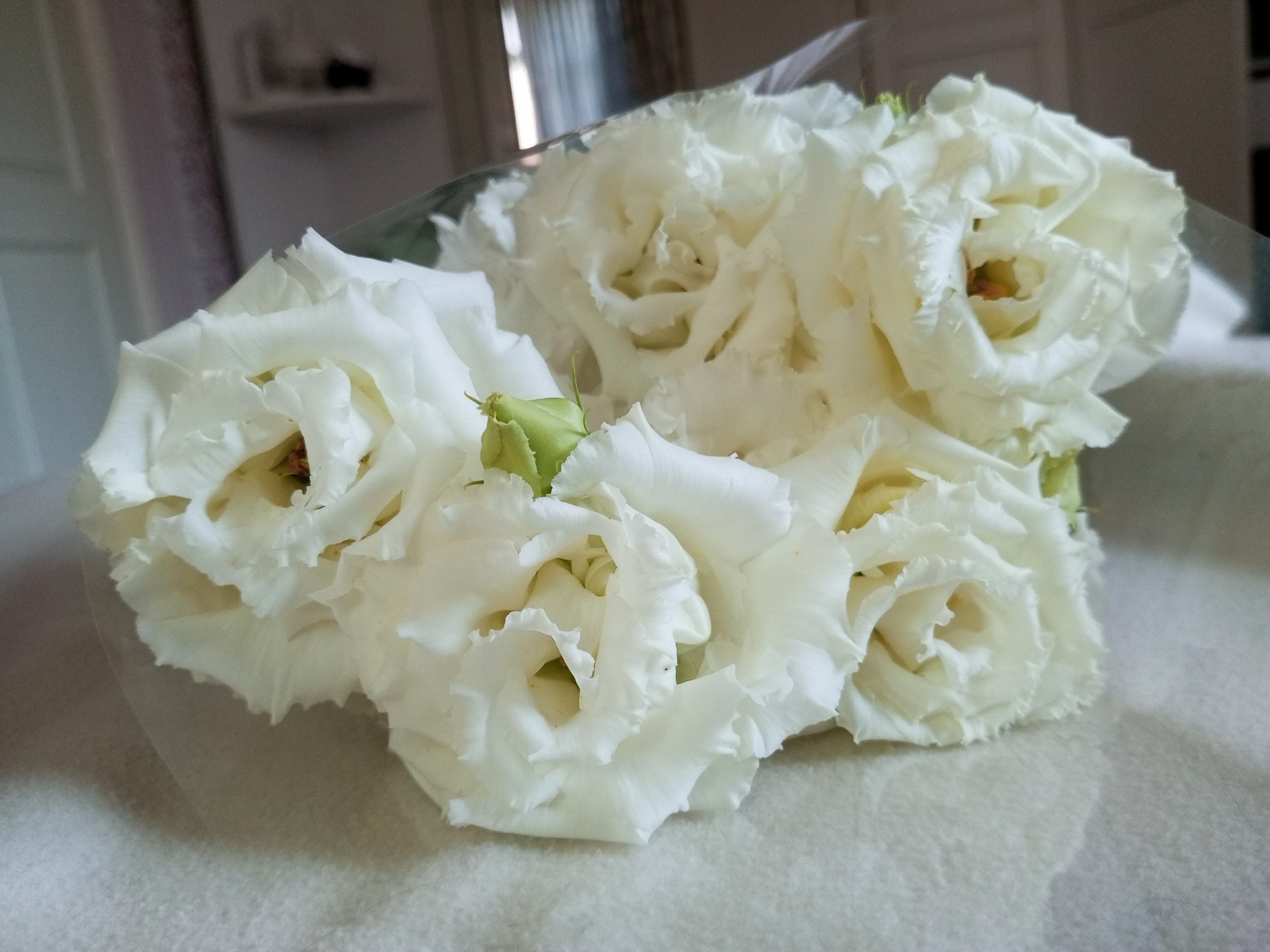 A bouquet of white roses lies on a soft, textured surface, possibly a blanket or upholstery. The roses are fully bloomed with delicate, ruffled petals, and one rosebud is visible, still closed. The background is blurred, showing hints of interior decor with shelves and possibly a curtain. The lighting is soft, creating a gentle shadow on the surface beneath the flowers. The scene is still and peaceful, with no people present.