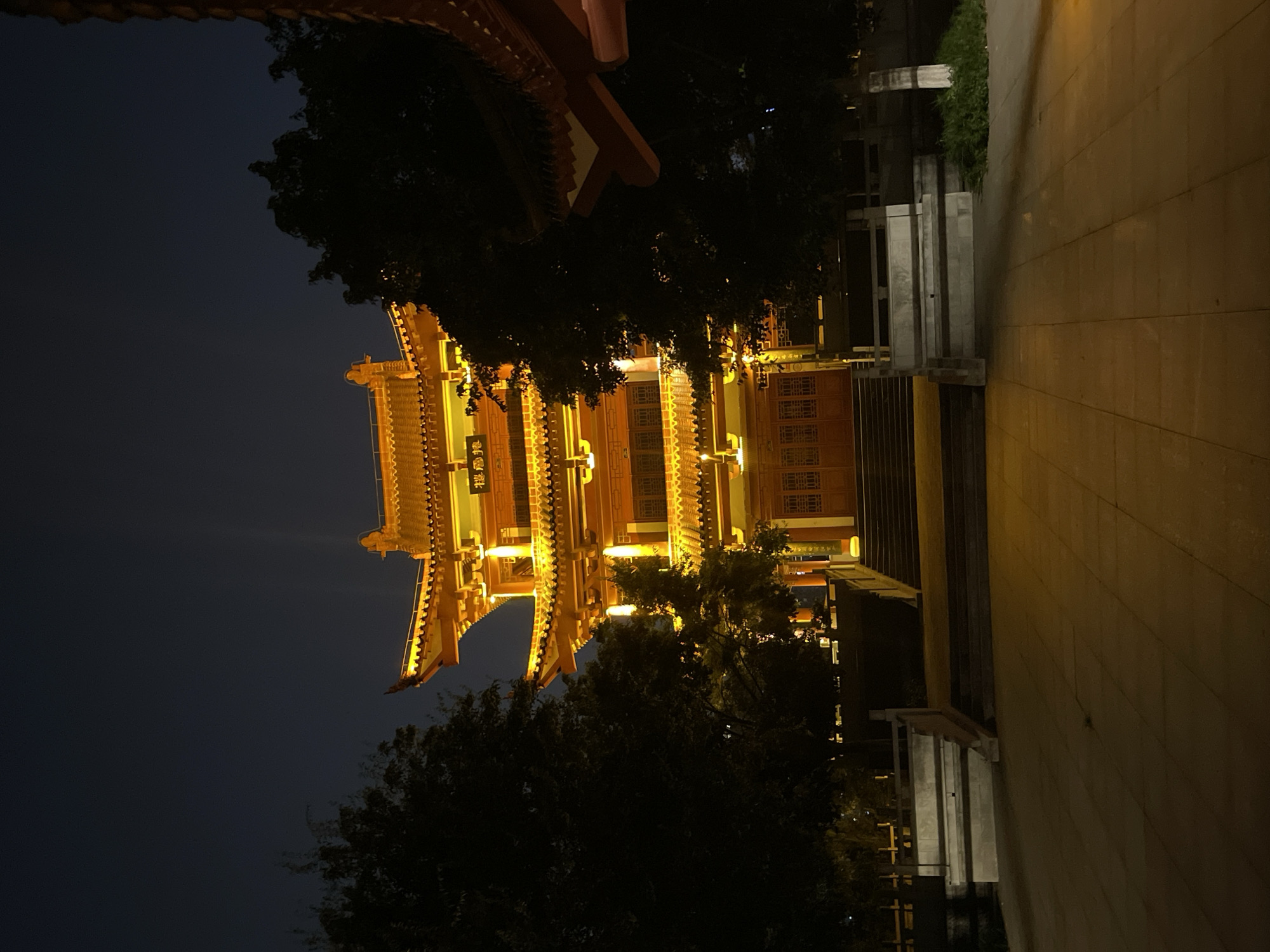 The image captures a grand, multi-story building, characteristic of traditional Chinese architecture, brightly illuminated at night. The structure features ornate, curving roofs, multiple tiers, and intricate details on its wooden facade, all bathed in a warm, golden light. Dark, silhouetted trees frame the building, with some leaves catching the golden glow, creating a dramatic contrast against the deep blue-black night sky.
To the right of the building, a paved pathway extends into the foreground, alongside a series of concrete steps leading upwards. Patches of green vegetation are visible near the steps, indicating some landscaping. No people or specific activities are present, allowing the focus to remain on the architectural beauty of the illuminated building.
The scene is set outdoors at night, with no discernible weather conditions other than a clear sky. A vertical plaque on the central section of the building's facade displays three Chinese characters, which appear to read "藏經閣" (Zàngjīng Gé), meaning "Sutra Collection Pavilion" or "Buddhist Scripture Library." This text strongly suggests the building is part of a Buddhist temple or monastery complex. The overall impression is one of tranquility and historical grandeur.