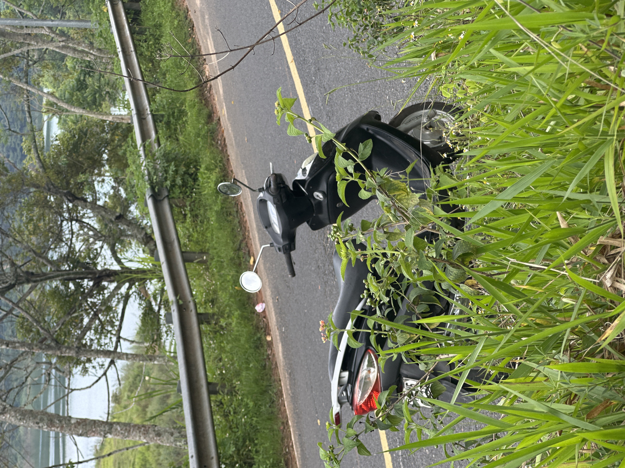 A black motor scooter parked on the side of a road, adjacent to a metal guardrail. The background includes vegetation, trees, and a body of water, possibly a lake. The photograph was taken in the Da Lat area of Vietnam, likely near a lakeside or mountain road. The scooter is partially obscured by tall grasses and other foliage.