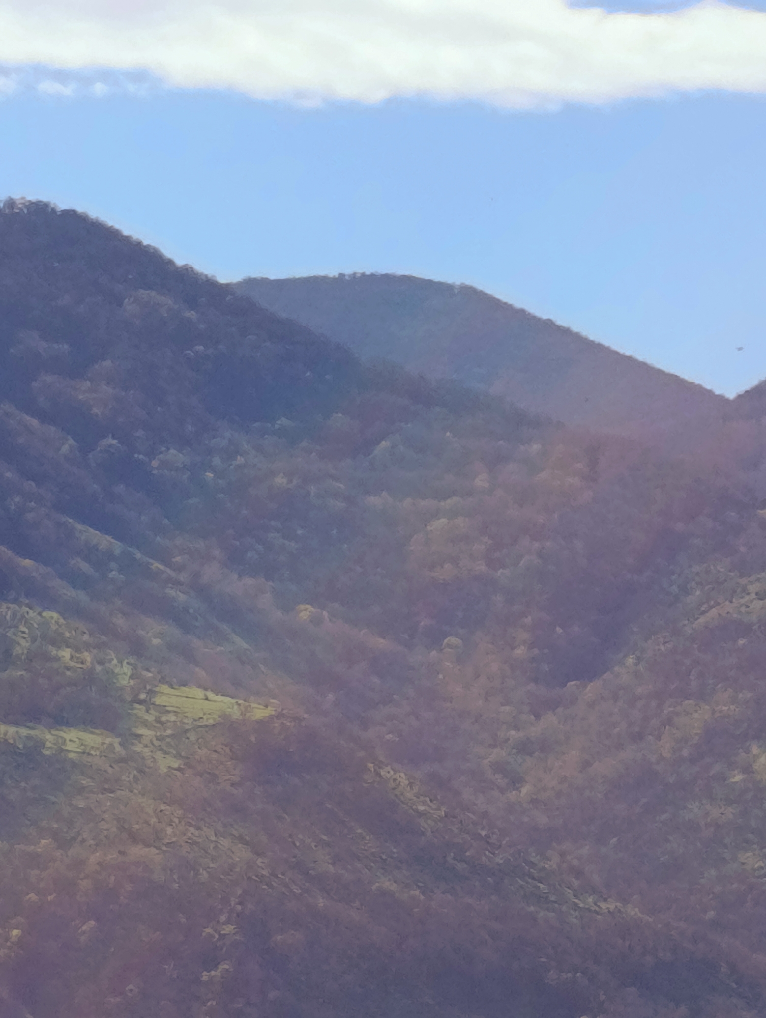 The image depicts a mountainous landscape under a clear blue sky with a few wisps of clouds. The mountains are covered with trees, and the lower slopes appear to have patches of green vegetation. The overall tone of the image is slightly hazy, and the lighting suggests it might be either early morning or late afternoon. Given the location in the city of Shiroko pole, Bulgaria, this is likely a view of the Rhodope Mountains or other nearby mountain ranges.