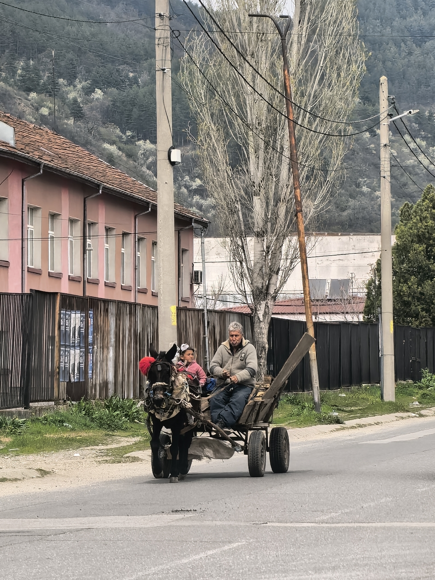 In an urban scene, a donkey pulls a cart carrying two people along an asphalt road. The cart is a basic wooden frame with four small wheels. The donkey is adorned with red pompoms on its harness. The adult male, likely the driver, sits in the front of the cart, holding the reins. A young girl with a white bow in her hair sits beside him.
The background features a two-story building with a tiled roof and a faded pink exterior. A fence borders the property, displaying remnants of posted flyers or advertisements. Trees with bare branches stand near a utility pole laden with wires. A hillside covered with trees is visible in the distance. The sky is overcast, casting a muted light over the scene.